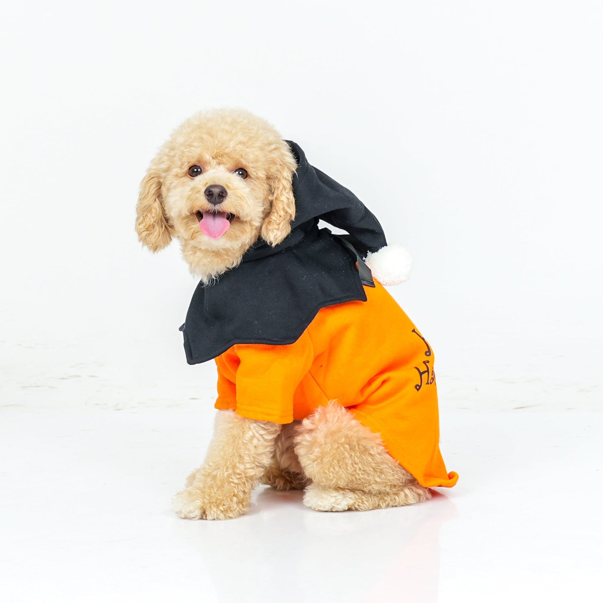 Dog Clothes| Pumpkin Halloween Costume | Sizes and Colours Available| Claws N Paws