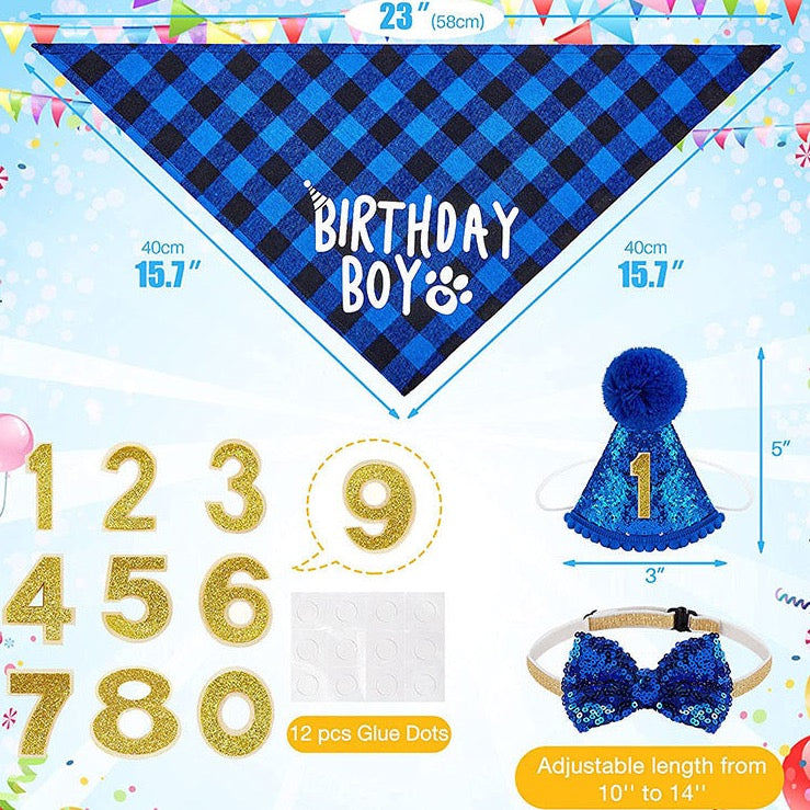 Pet Birthday Party Set