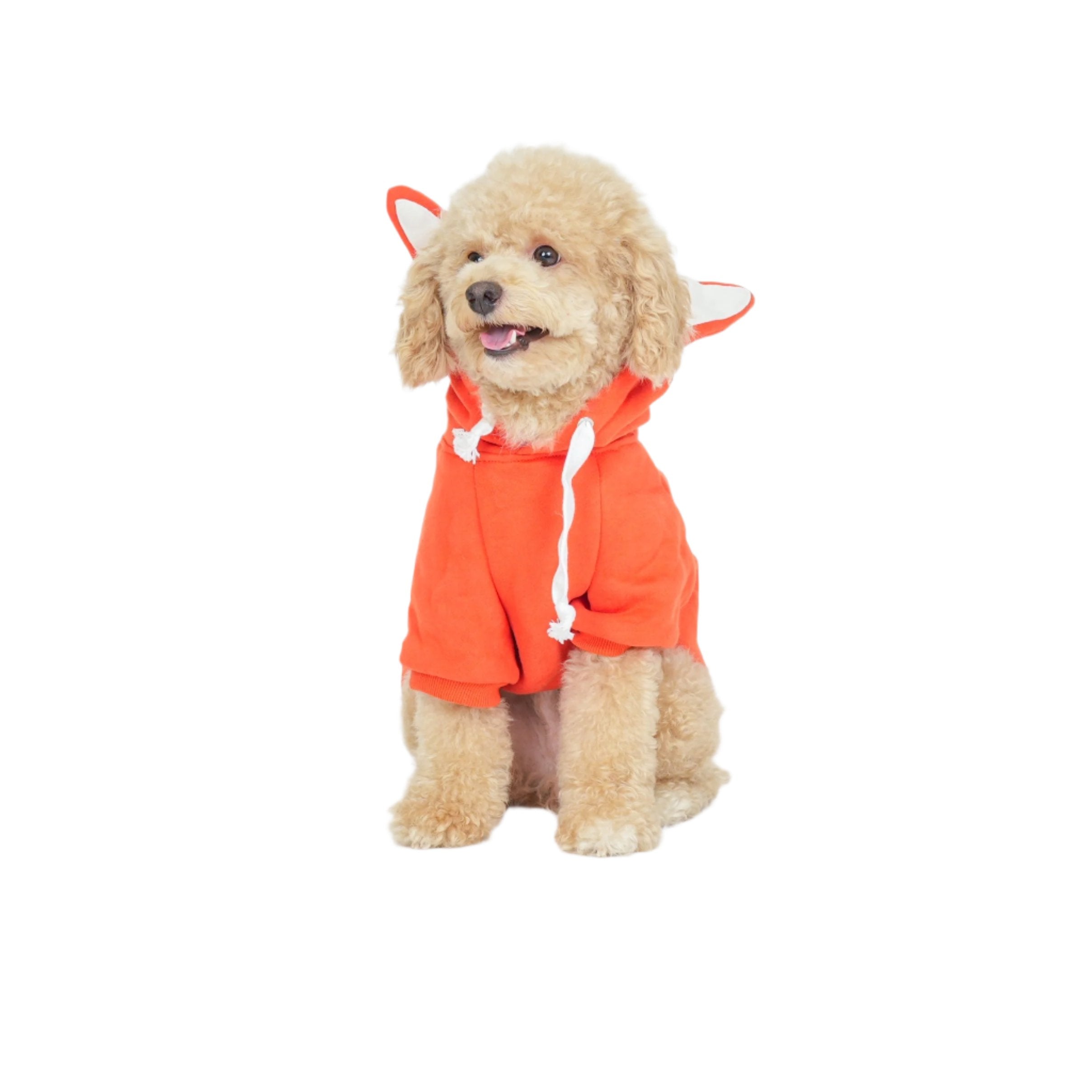 Whimsical Fox Hoodie
