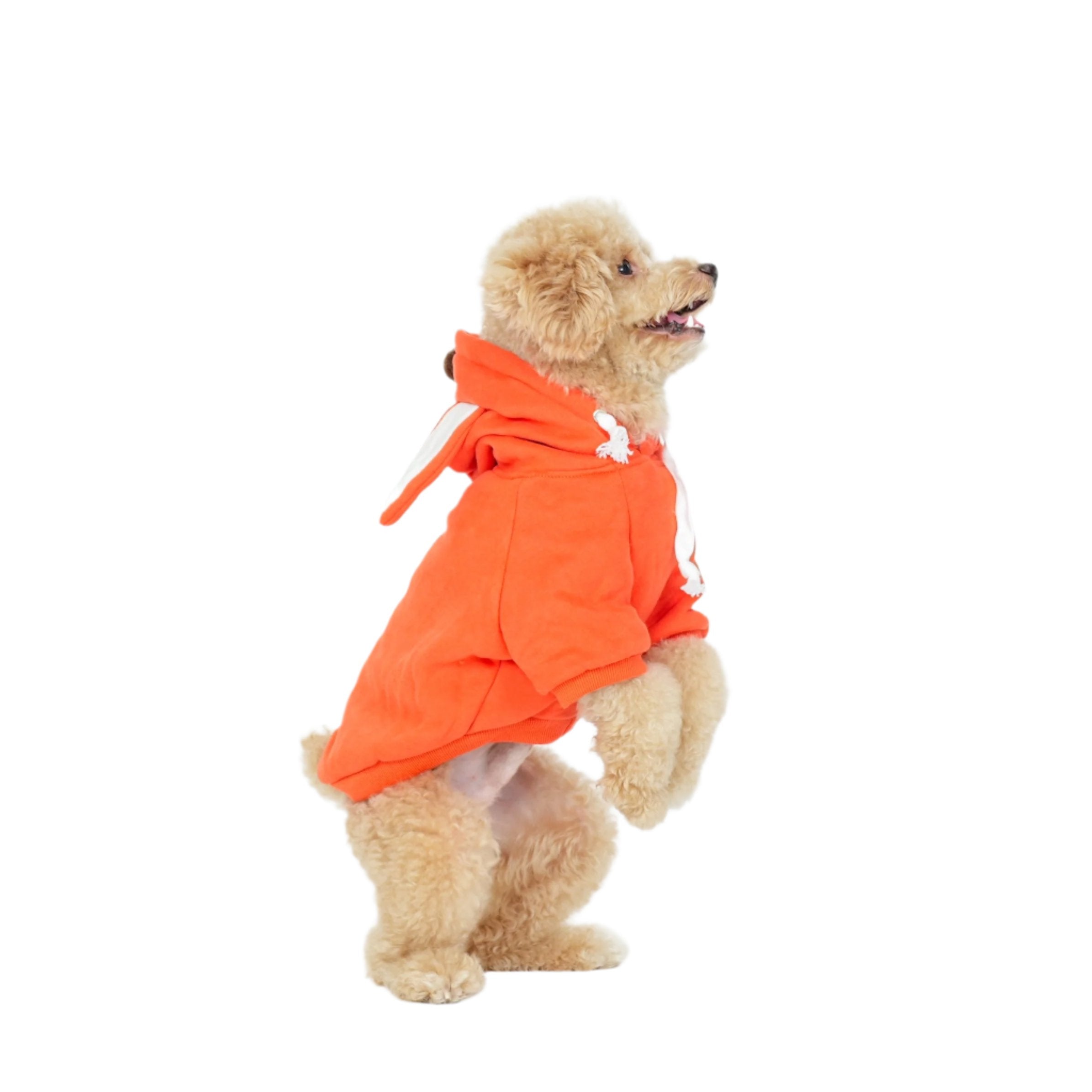 Whimsical Fox Hoodie
