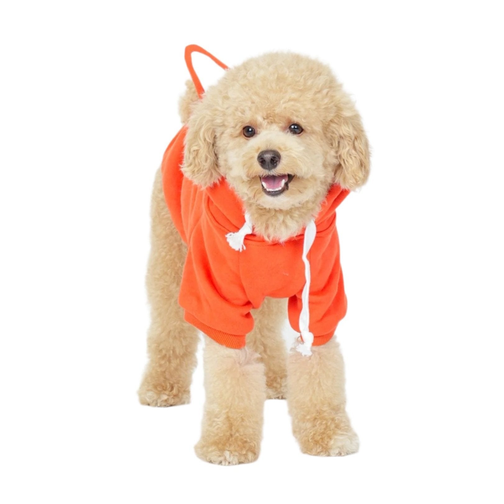 Whimsical Fox Hoodie