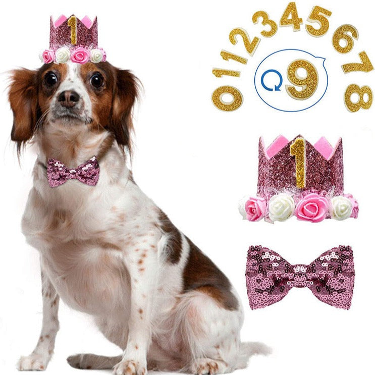 Birthday Crown & Bow Tie Set