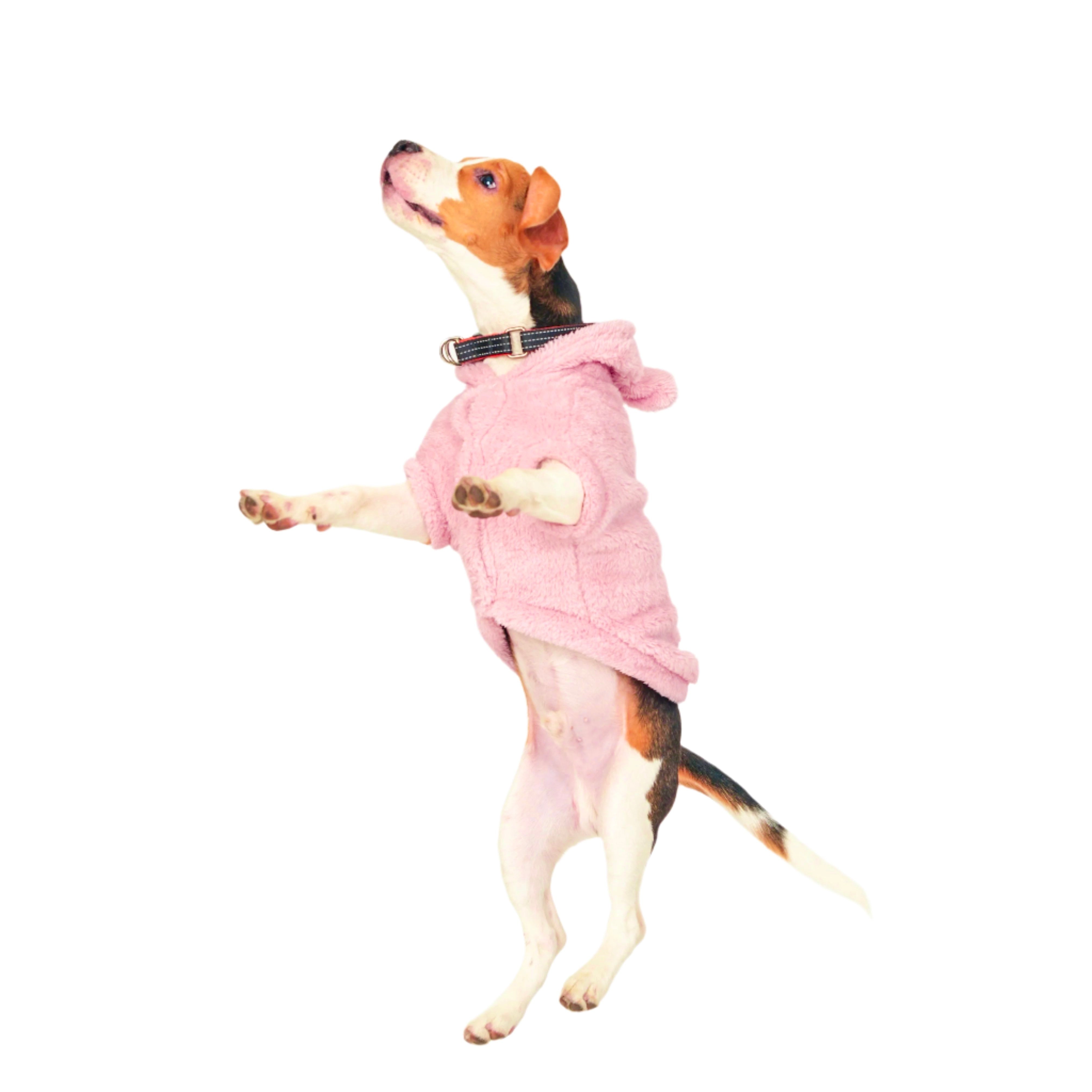 Pink Pig Hoodie