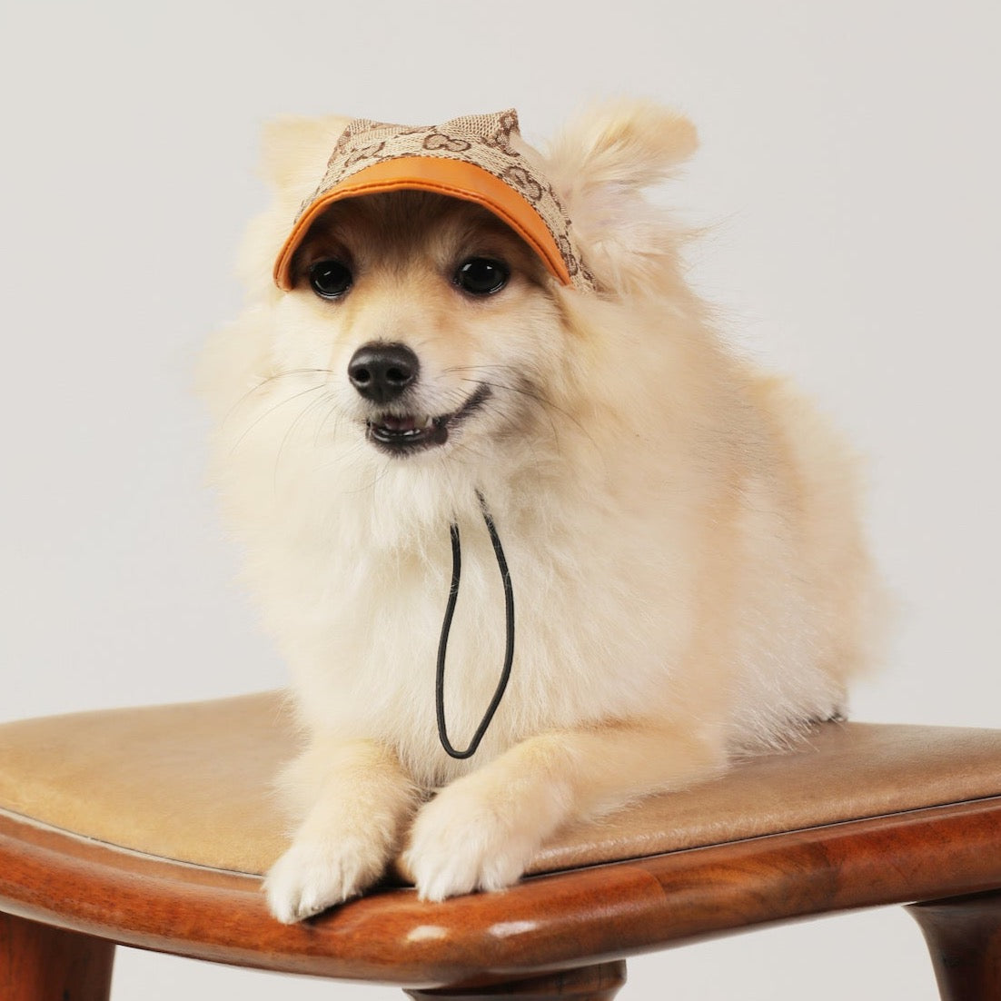 GG Print Premium Cap