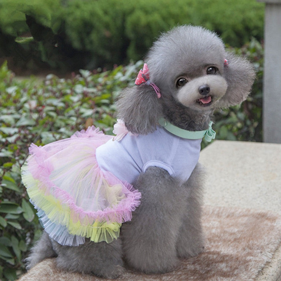 Birthday Cake Frill Dress | Dog Clothes| l | Sizes and Colours Available| Claws N Paws