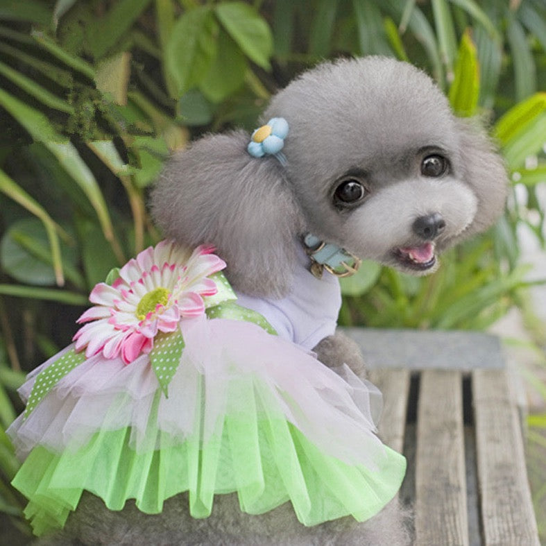 Flower Summer Frock Dress – Cute & Lightweight Dog Clothes for Warm Weather