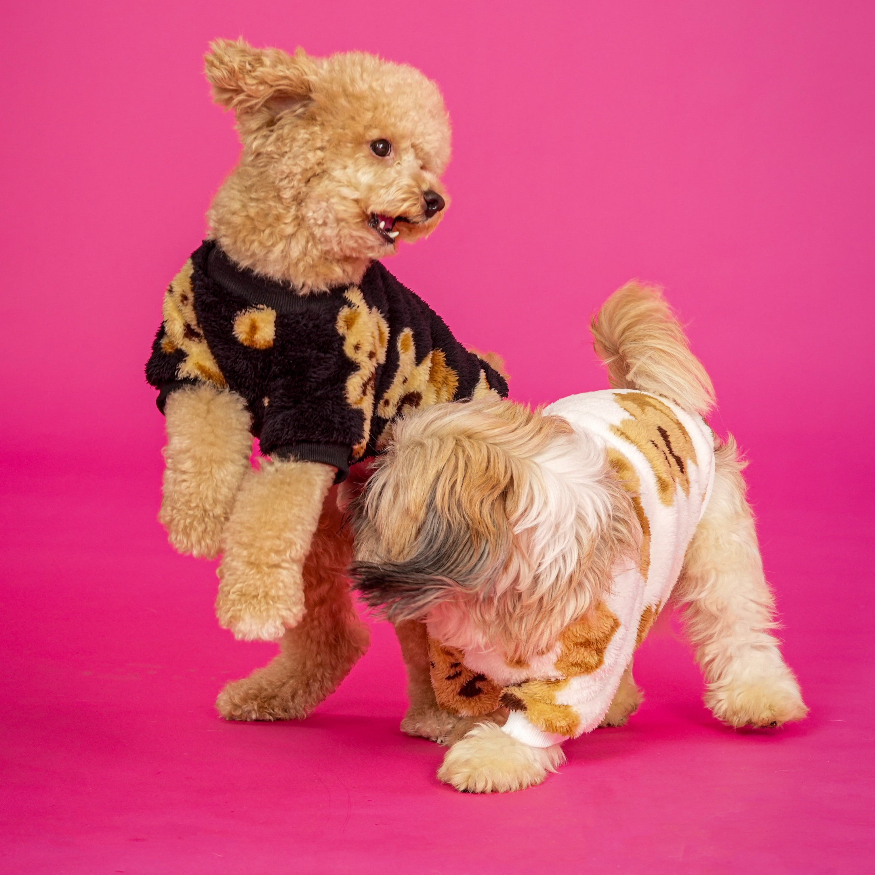 Teddy Print Sweatshirt