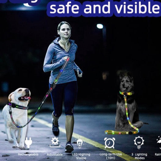 LED Light Collar & Leash Set (PVC Coated)