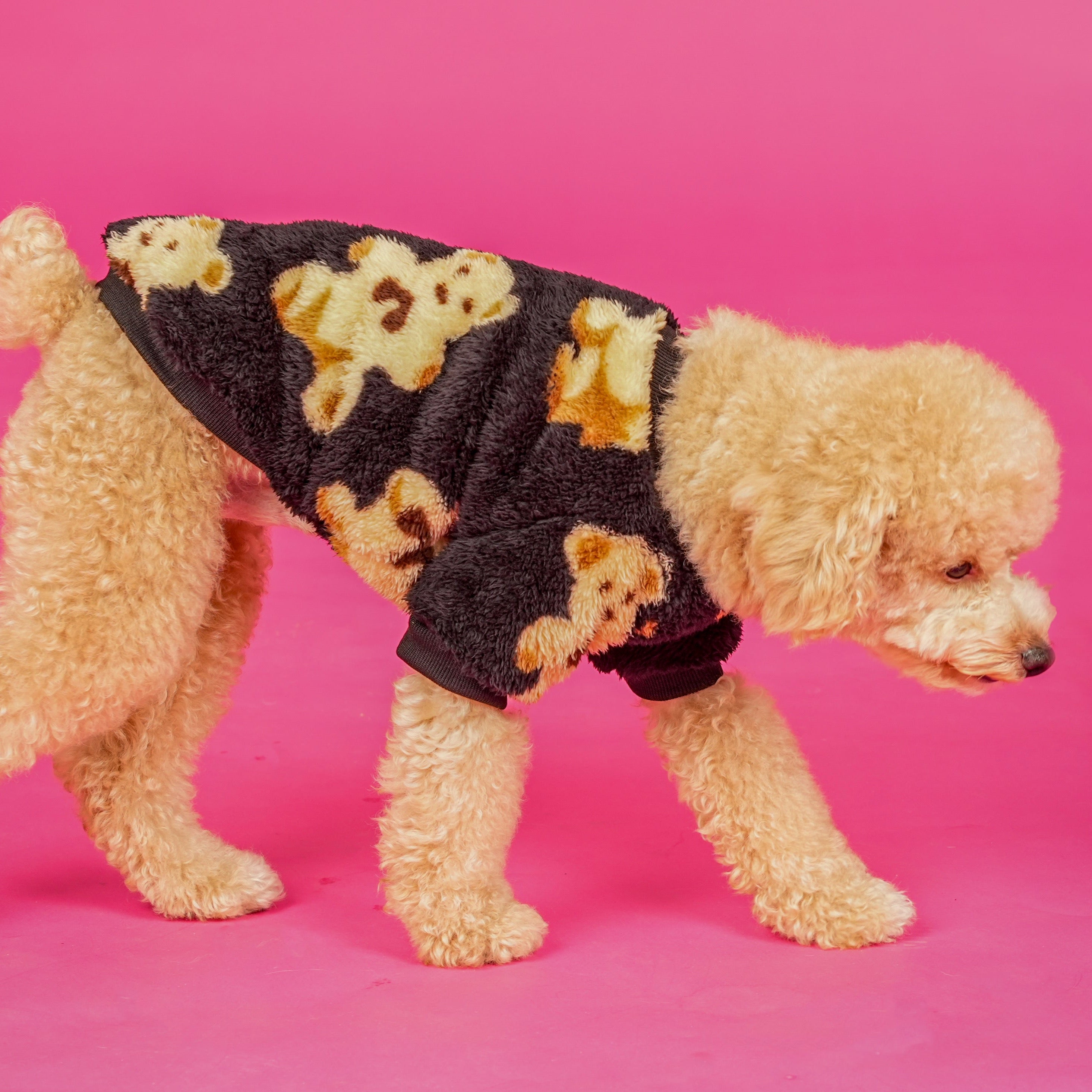 Teddy Print Sweatshirt