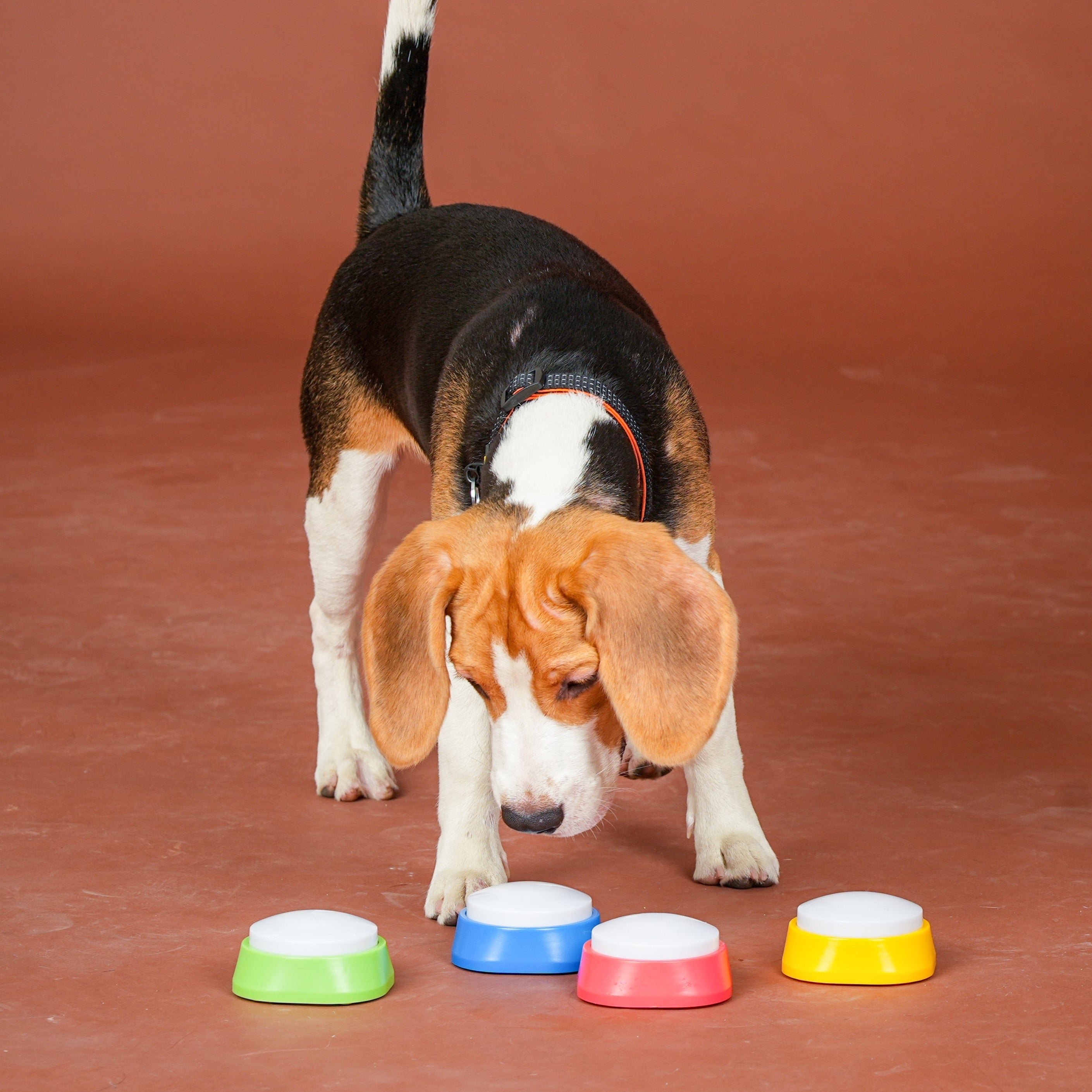 Dog and Cat Voice Trainer – Voice Recording Talking Button Pet Trainers (Pack of 4)