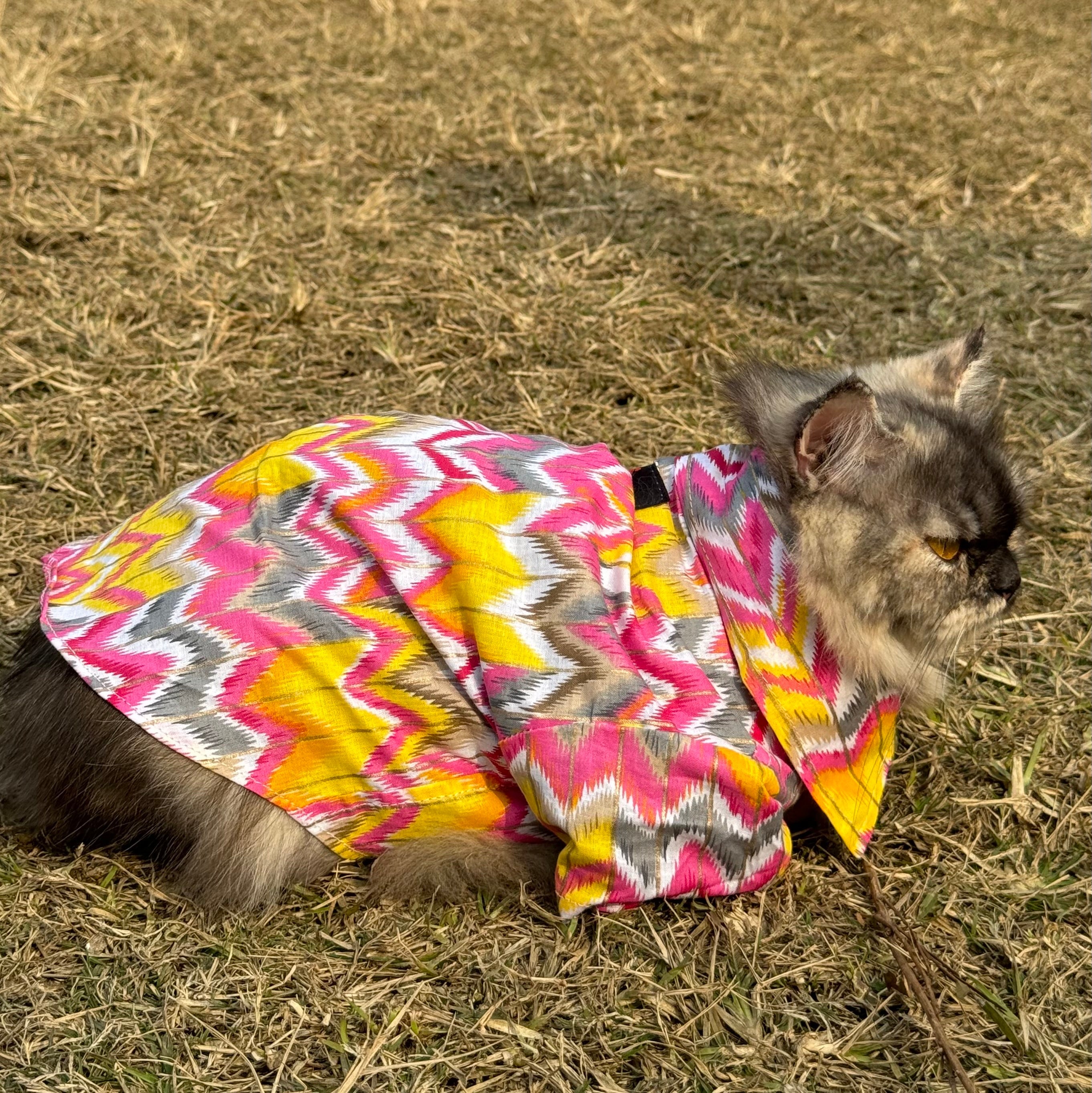 Cat pink zig zag kurta