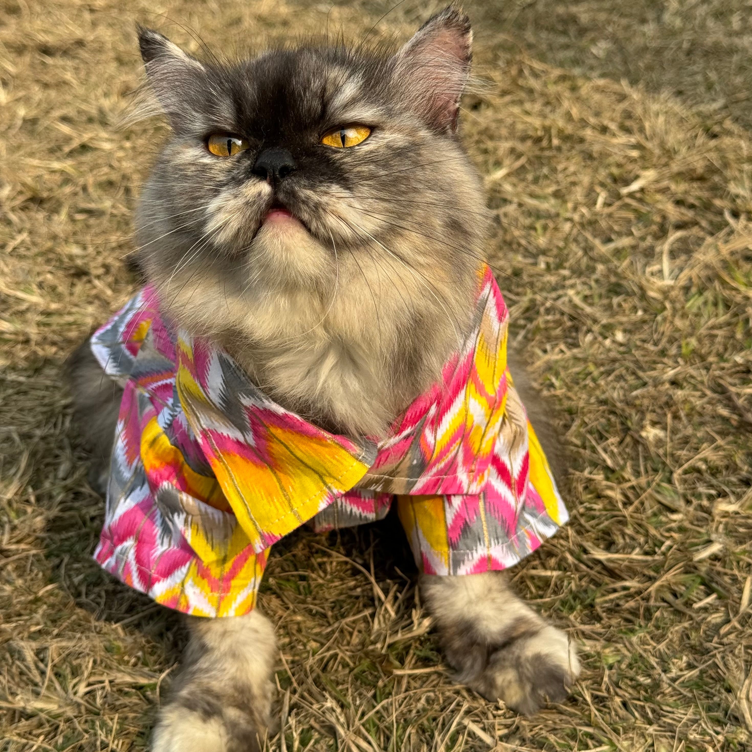 Cat pink zig zag kurta