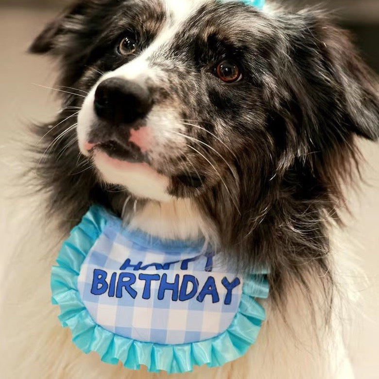 Frill Pet Birthday Set