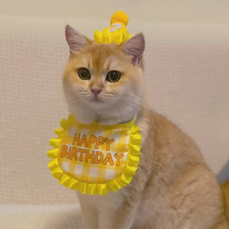 Frill Pet Birthday Set