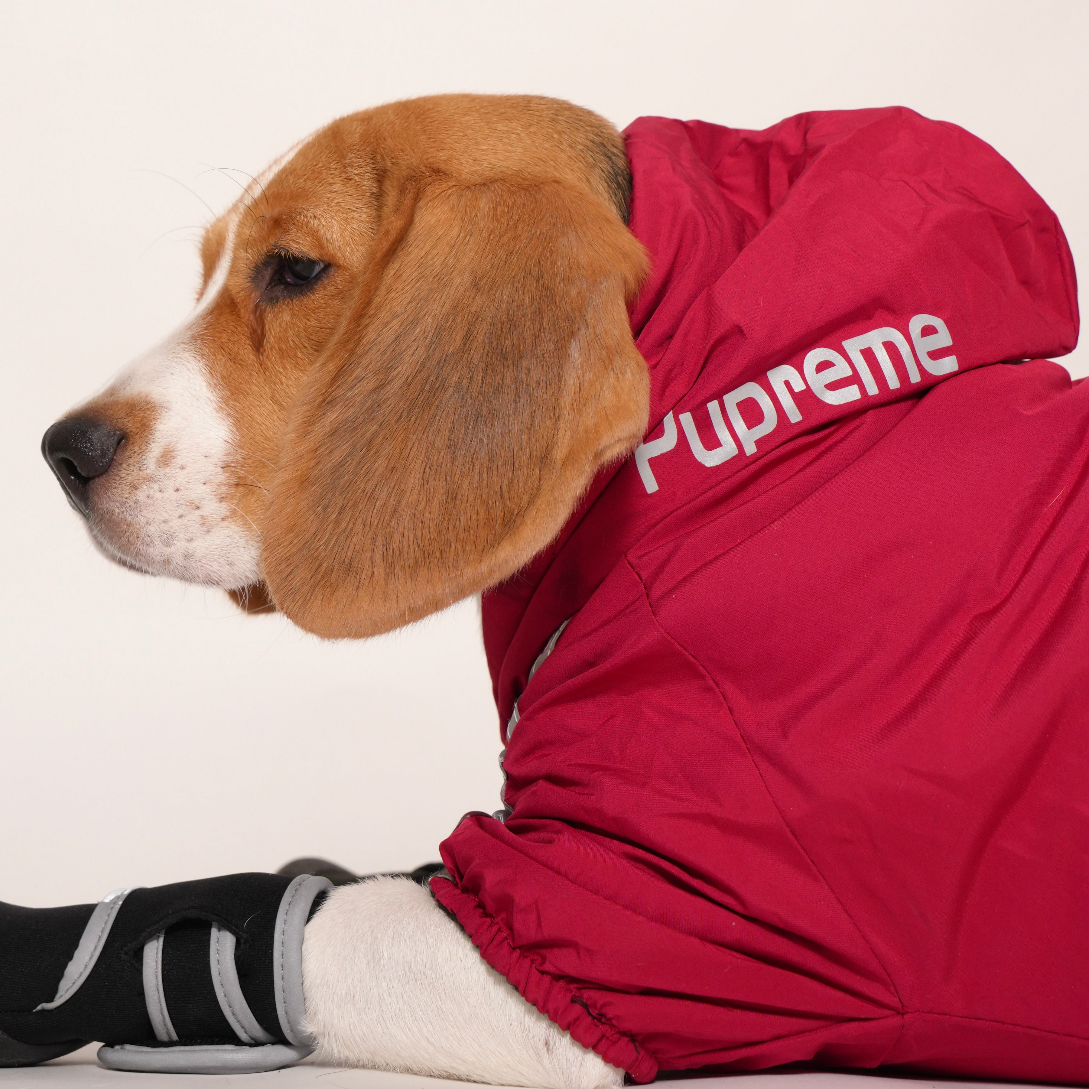 Red Pupreme Jacket