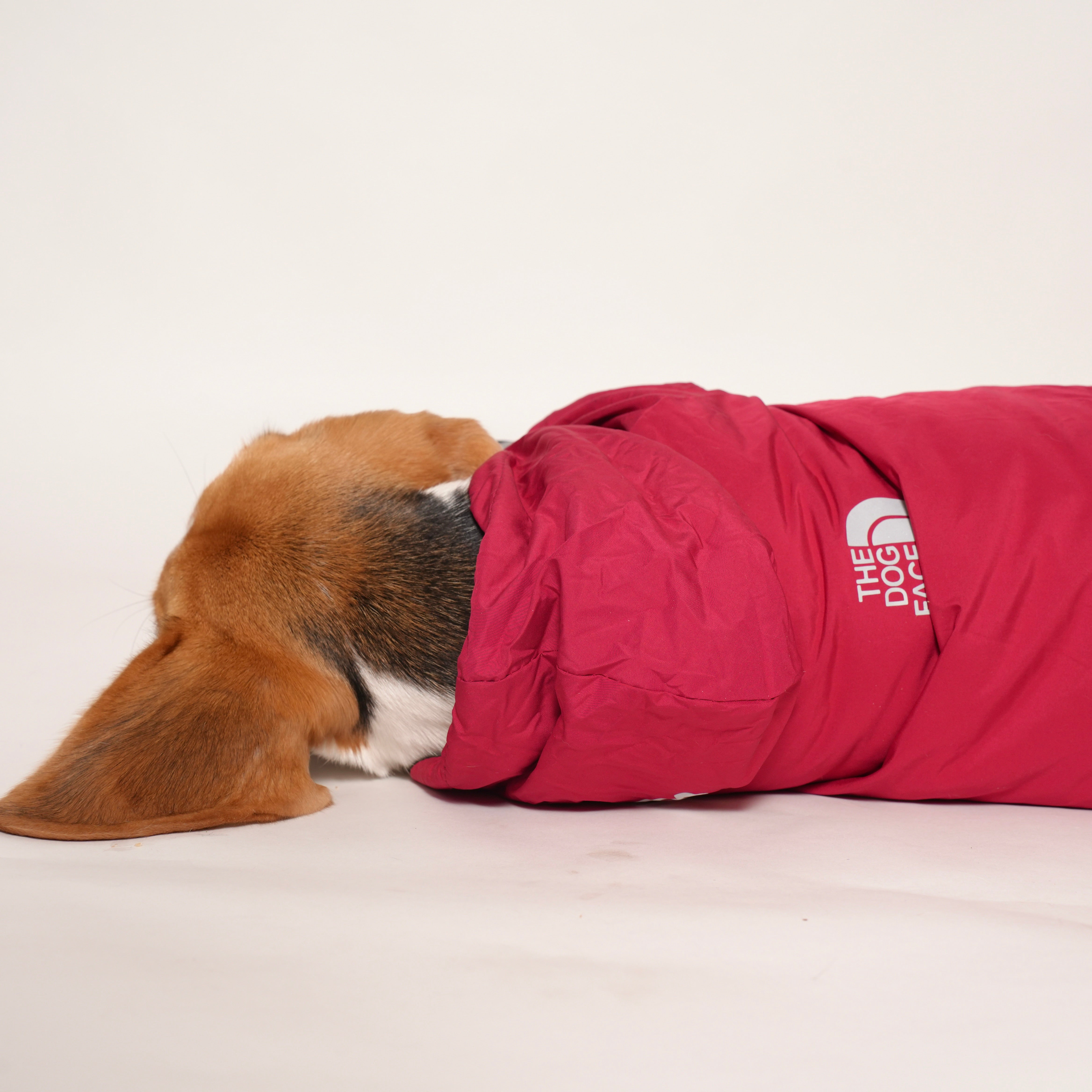 Red Pupreme Jacket