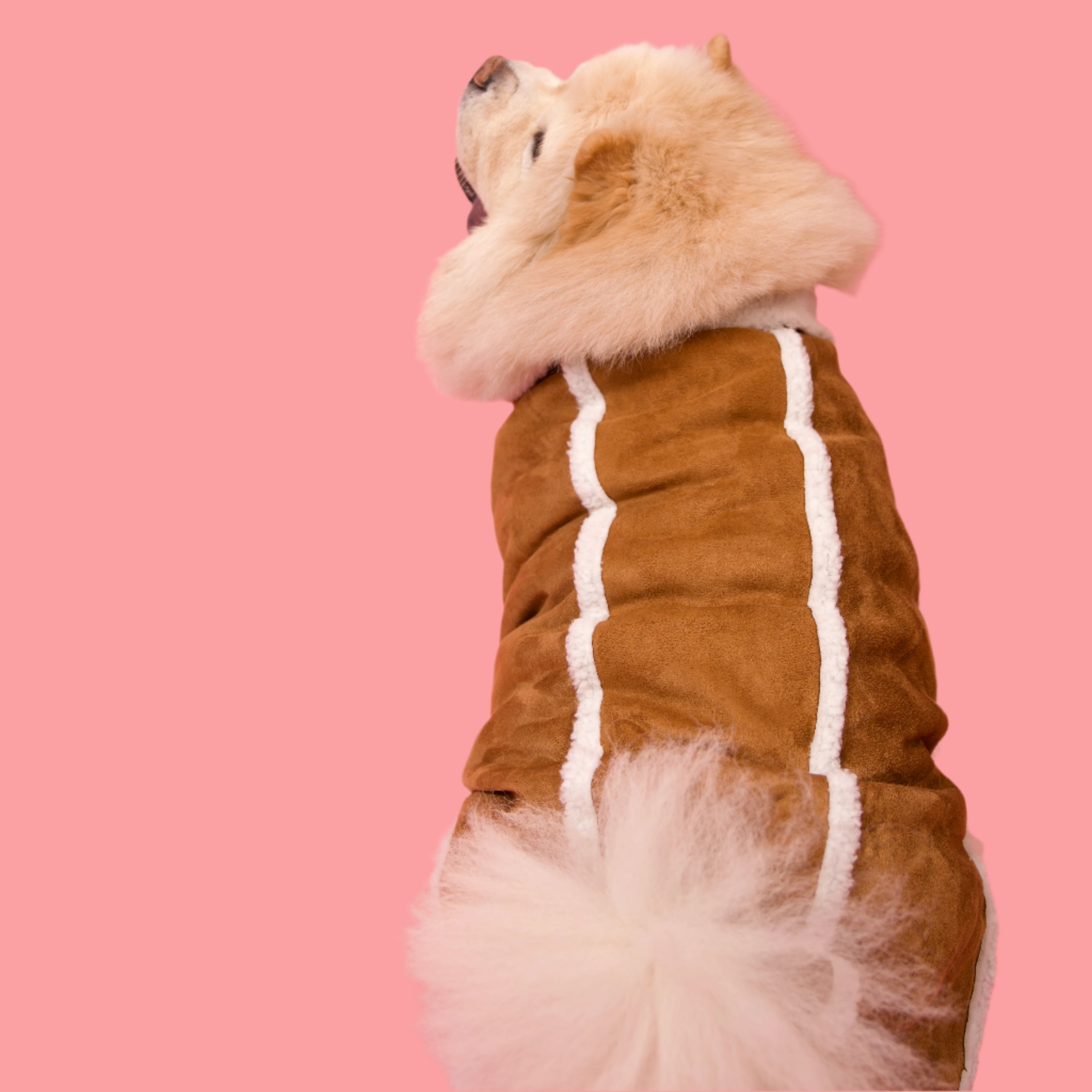 Premium Suede Jacket with Teddy Fur