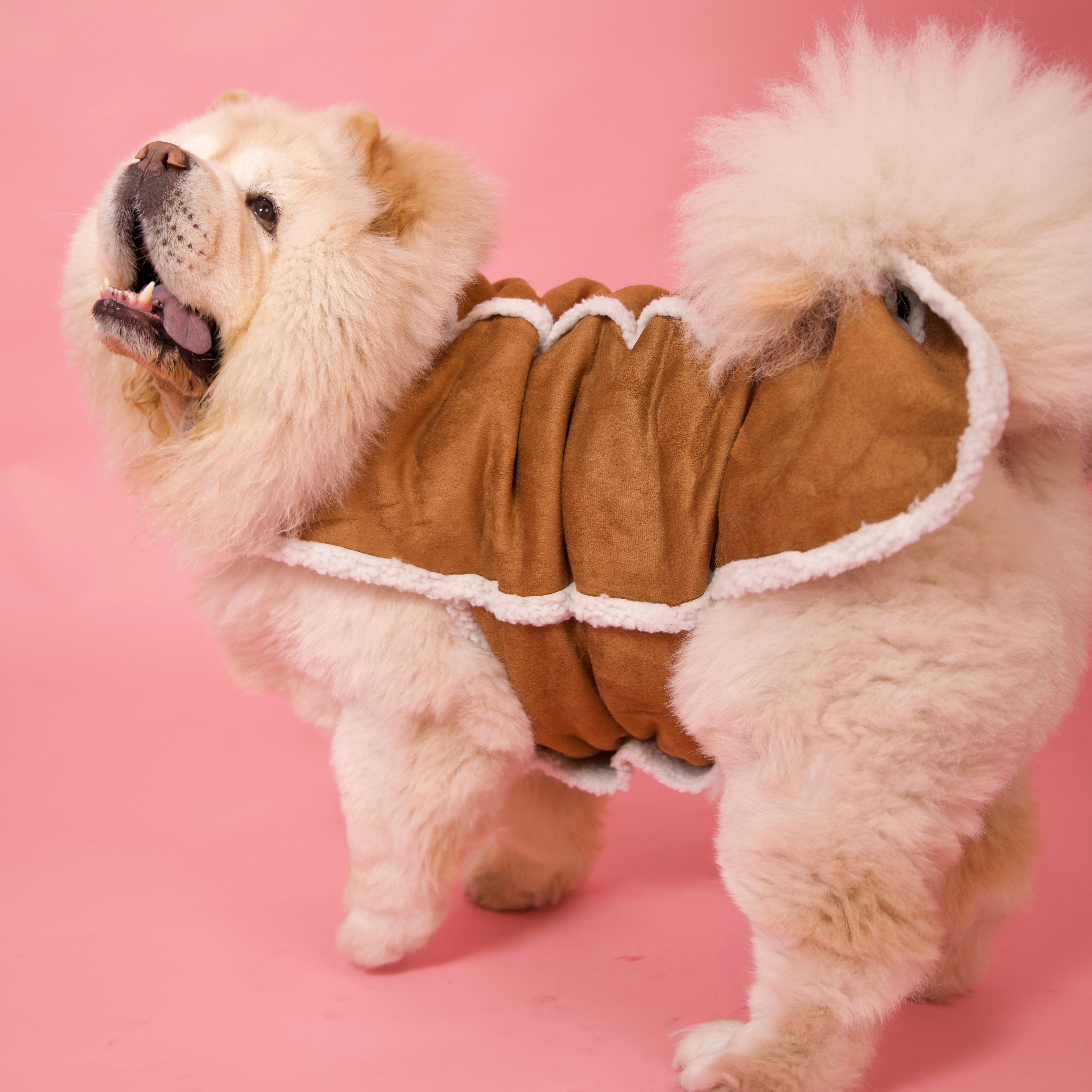 Premium Suede Jacket with Teddy Fur