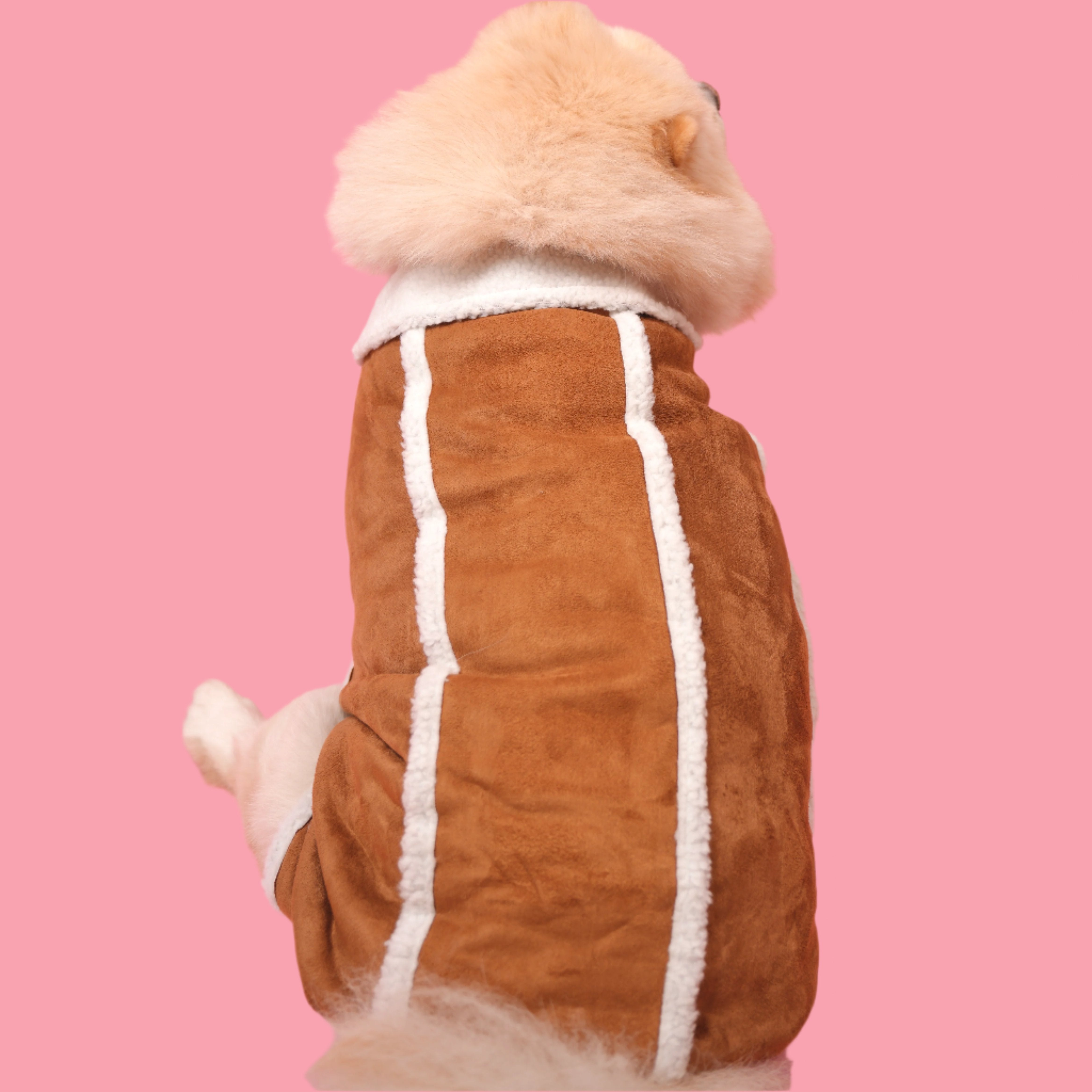 Premium Suede Jacket with Teddy Fur