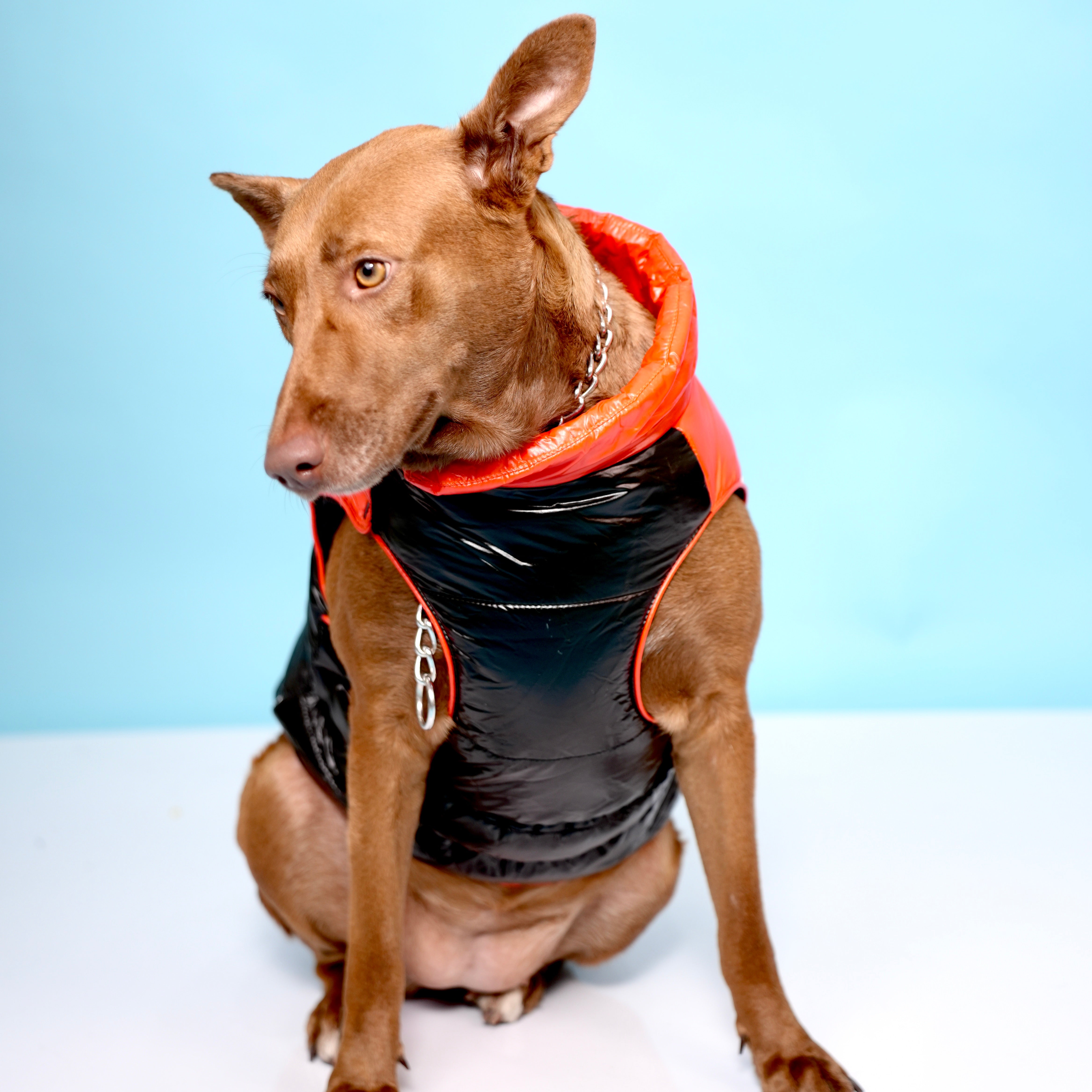 Deluxe Puffer Vest Jacket
