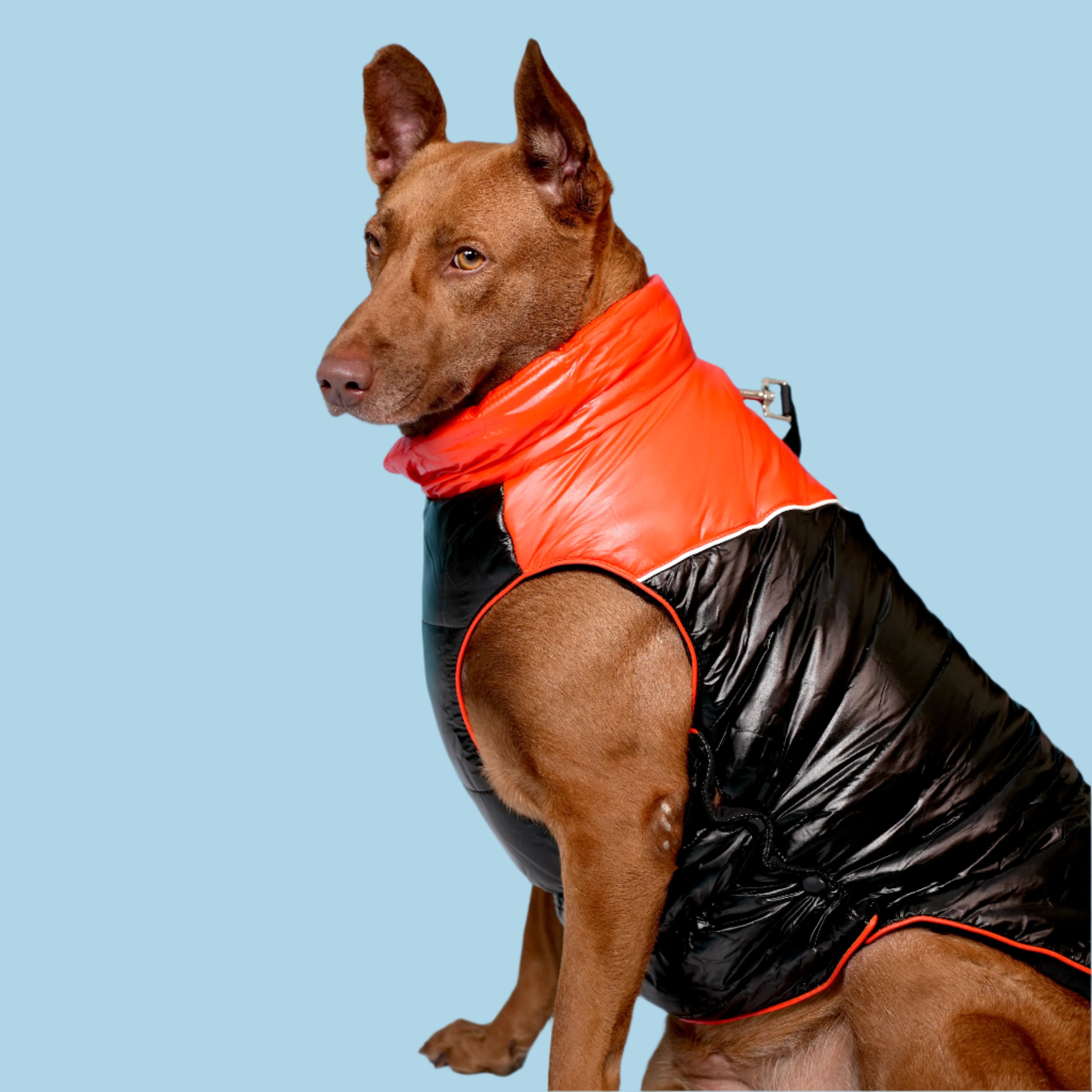 Deluxe Puffer Vest Jacket