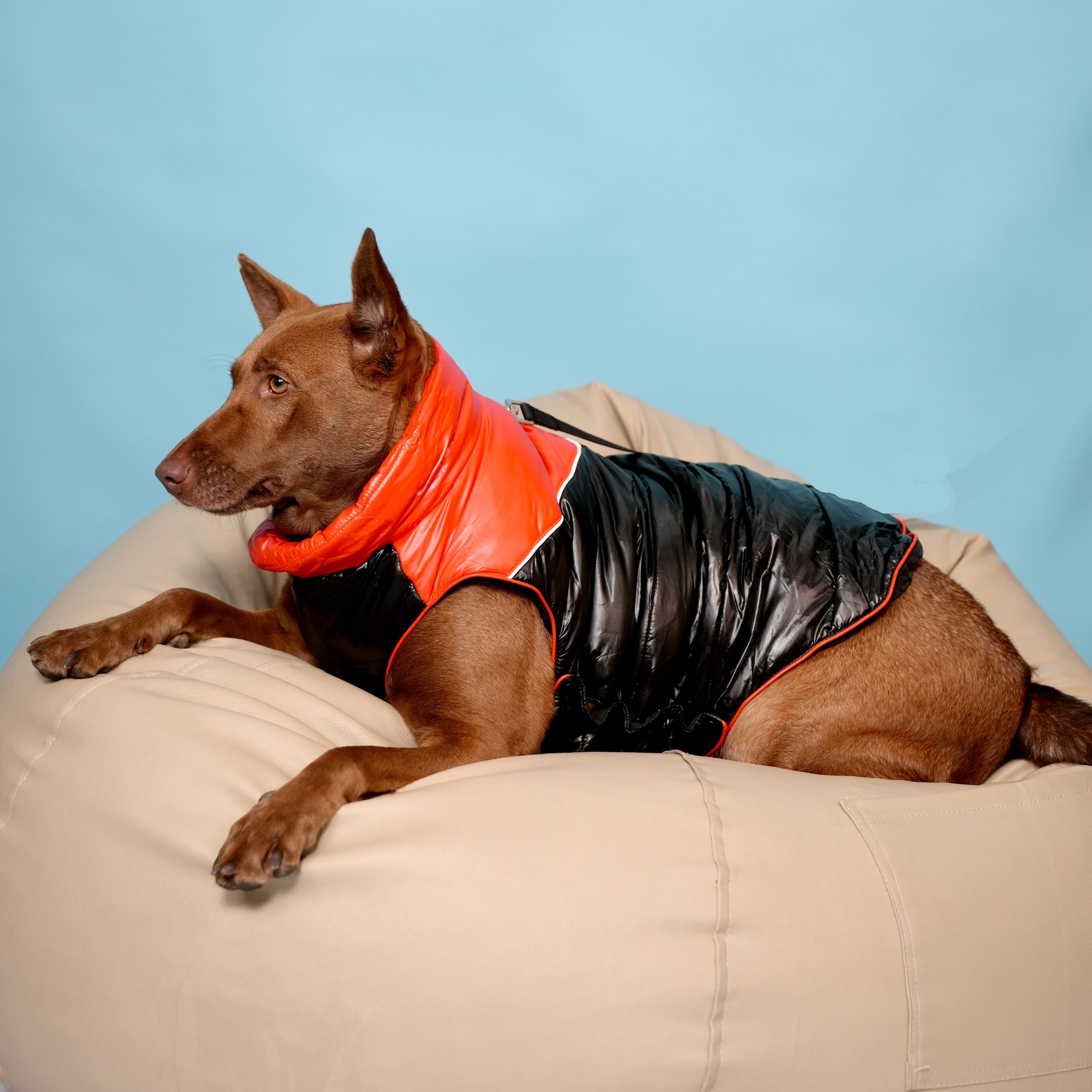 Deluxe Puffer Vest Jacket