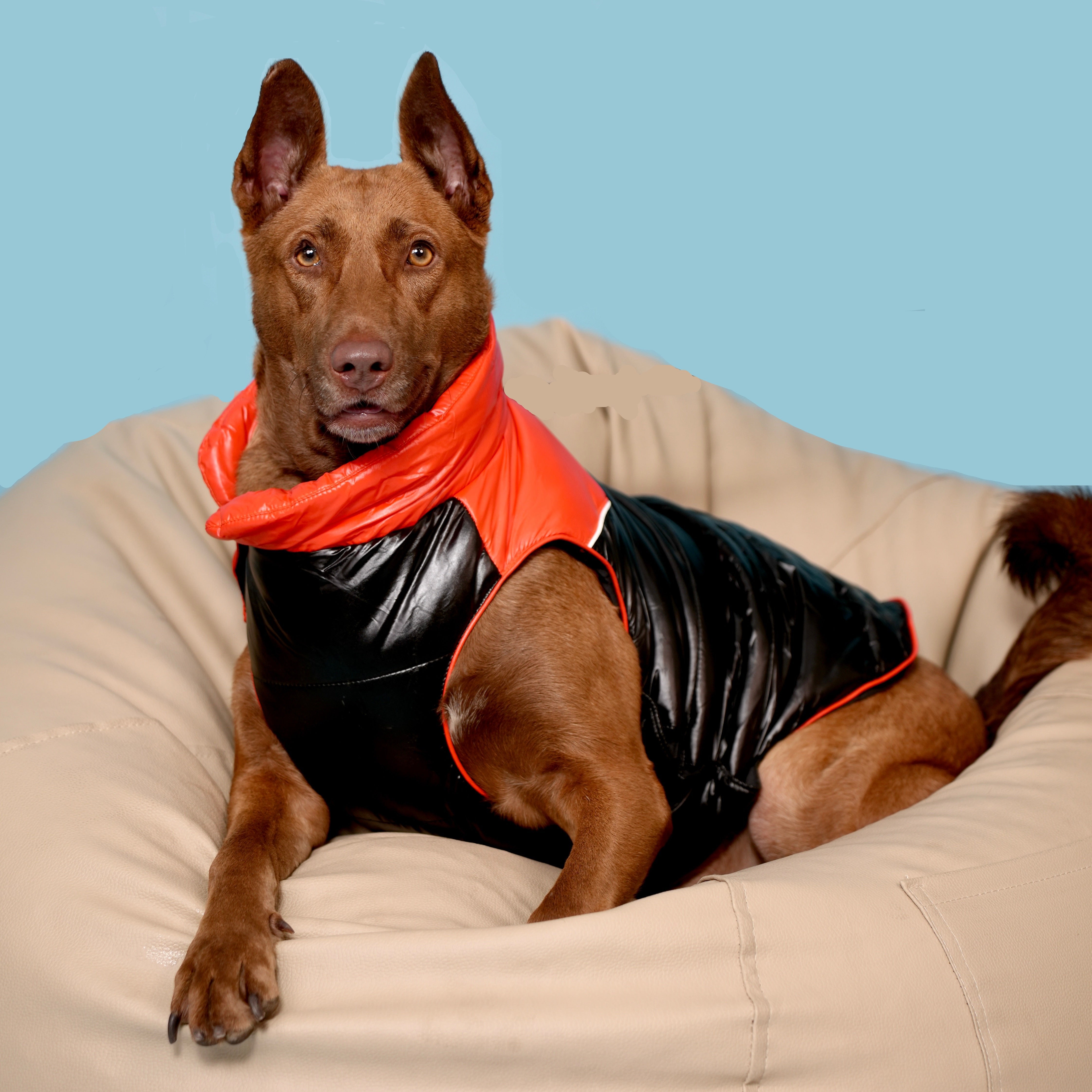 Deluxe Puffer Vest Jacket