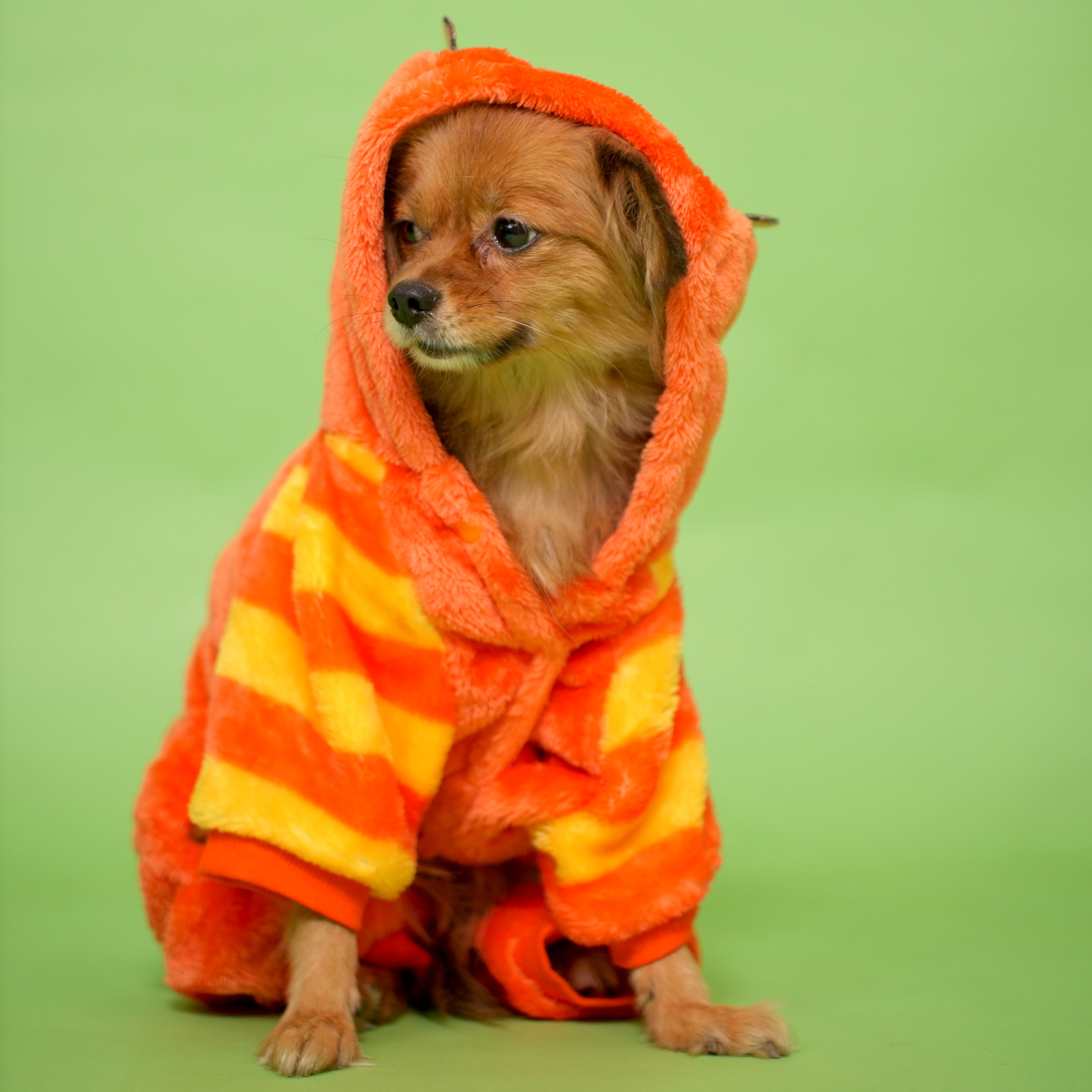 Orange Tiger Jumpsuit