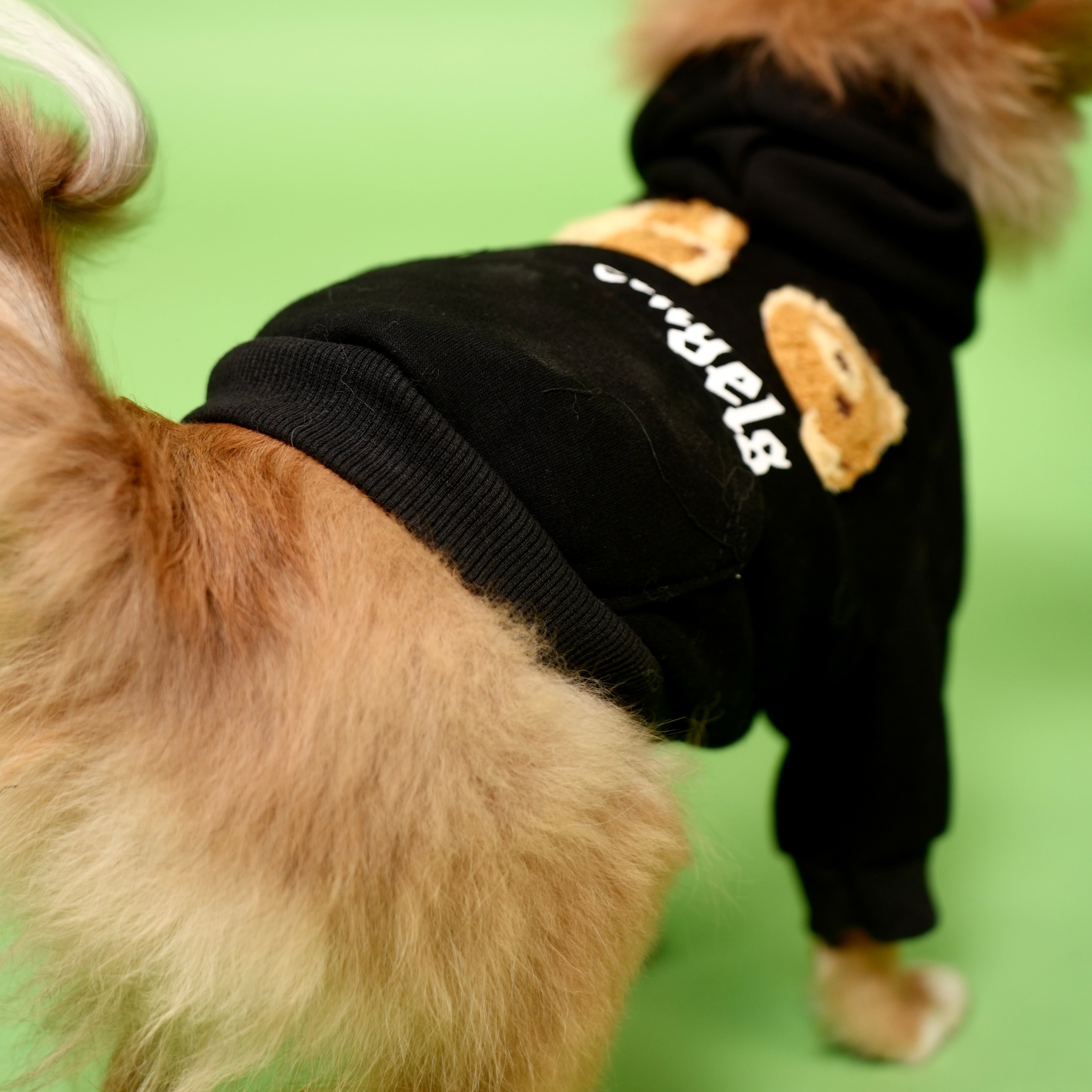 Palm Angels Hoodie
