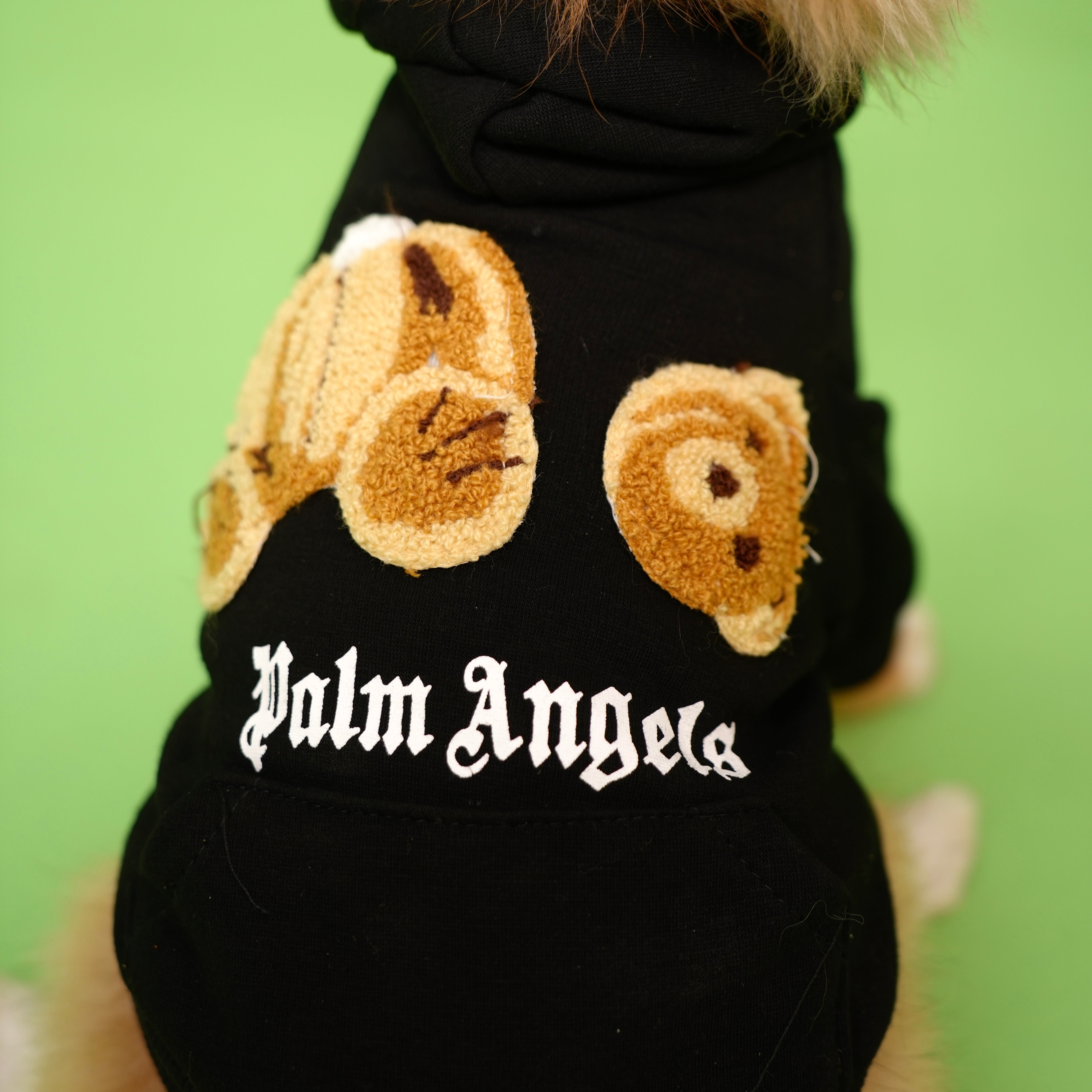 Palm Angels Hoodie