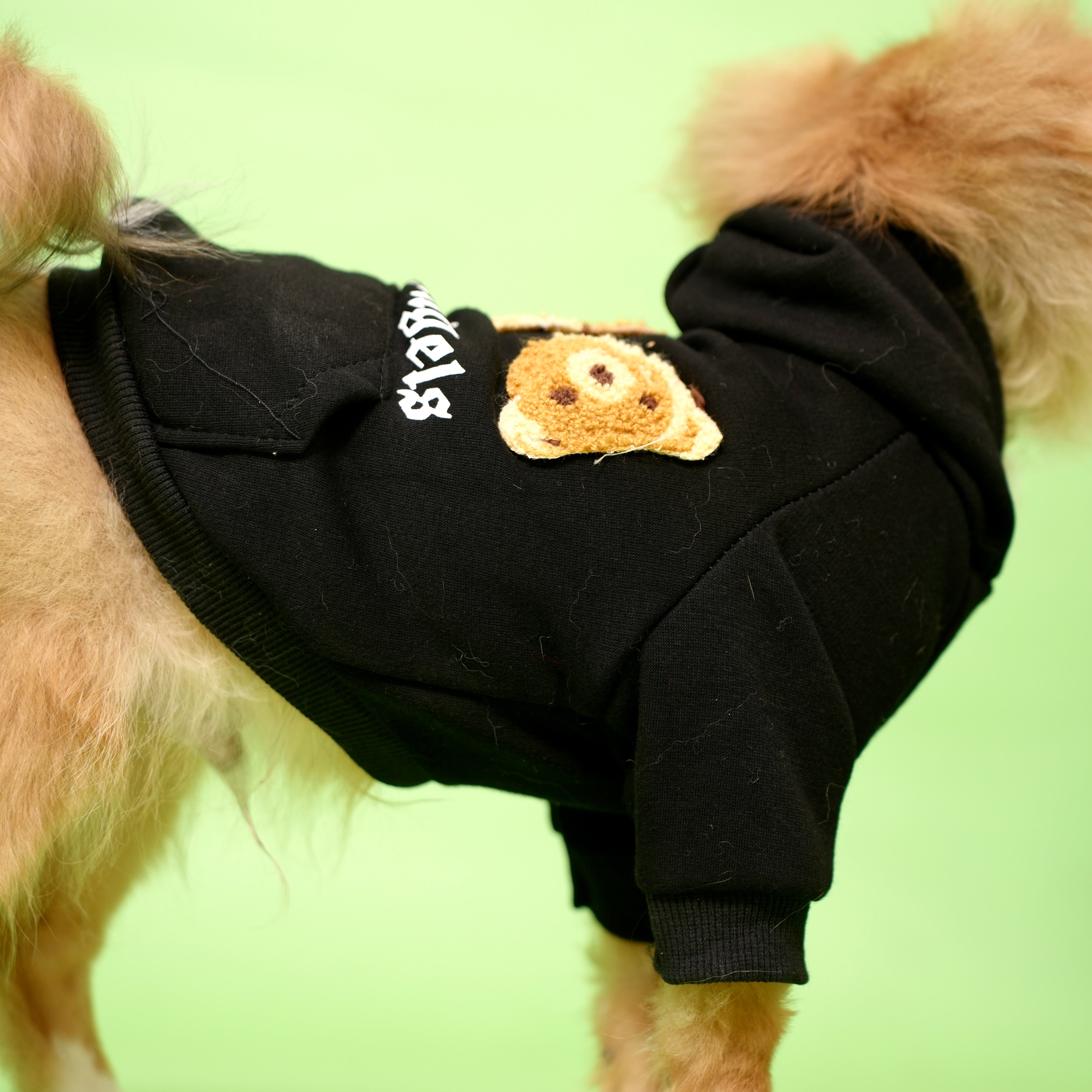 Palm Angels Hoodie