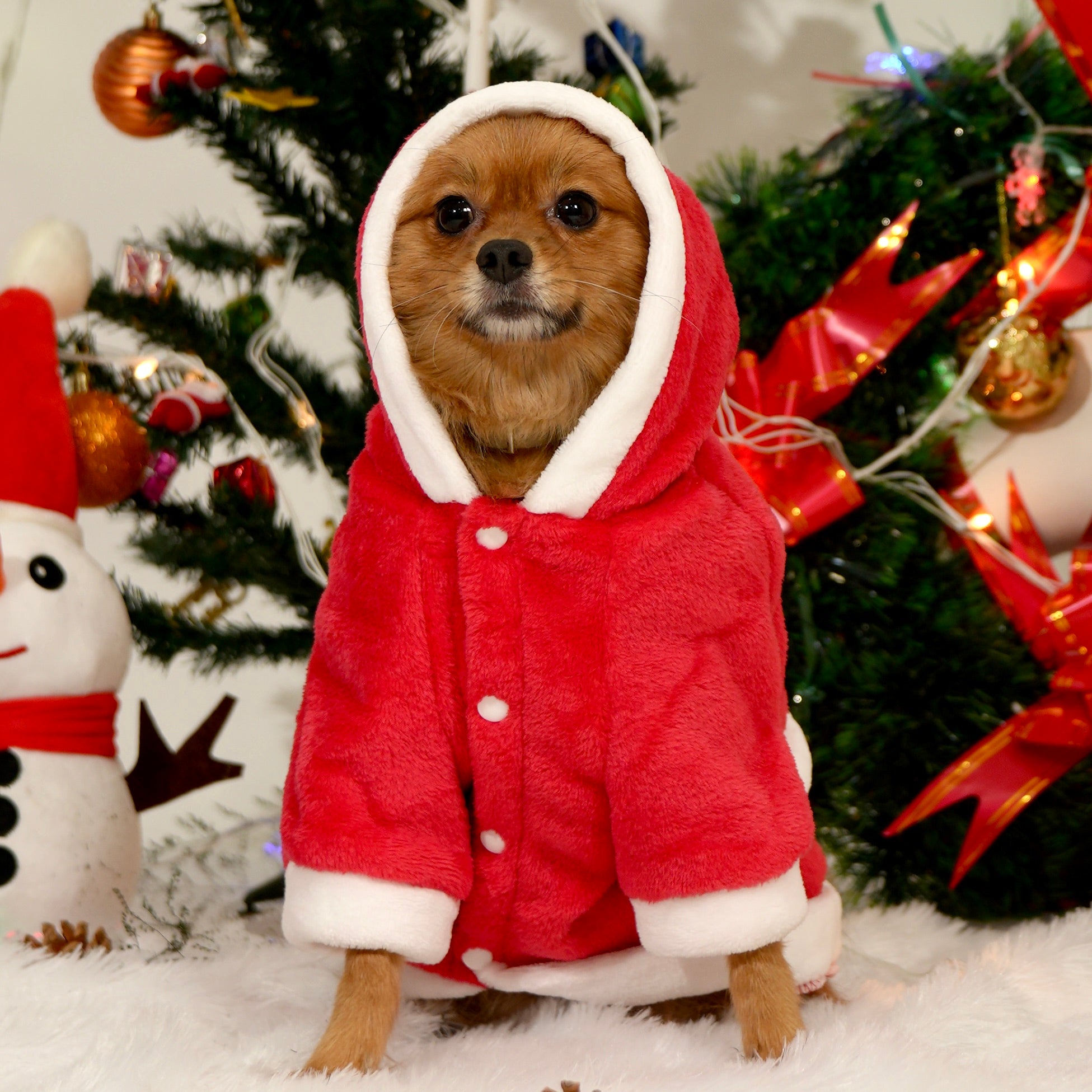 Santa Claus Fleece Hoodie