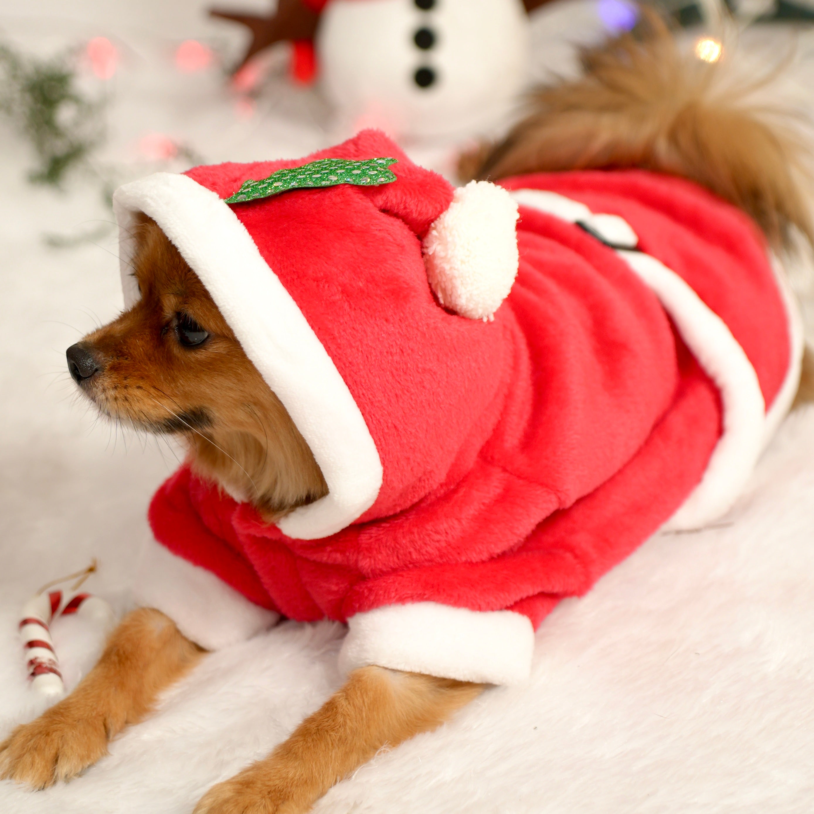 Santa Claus Fleece Hoodie