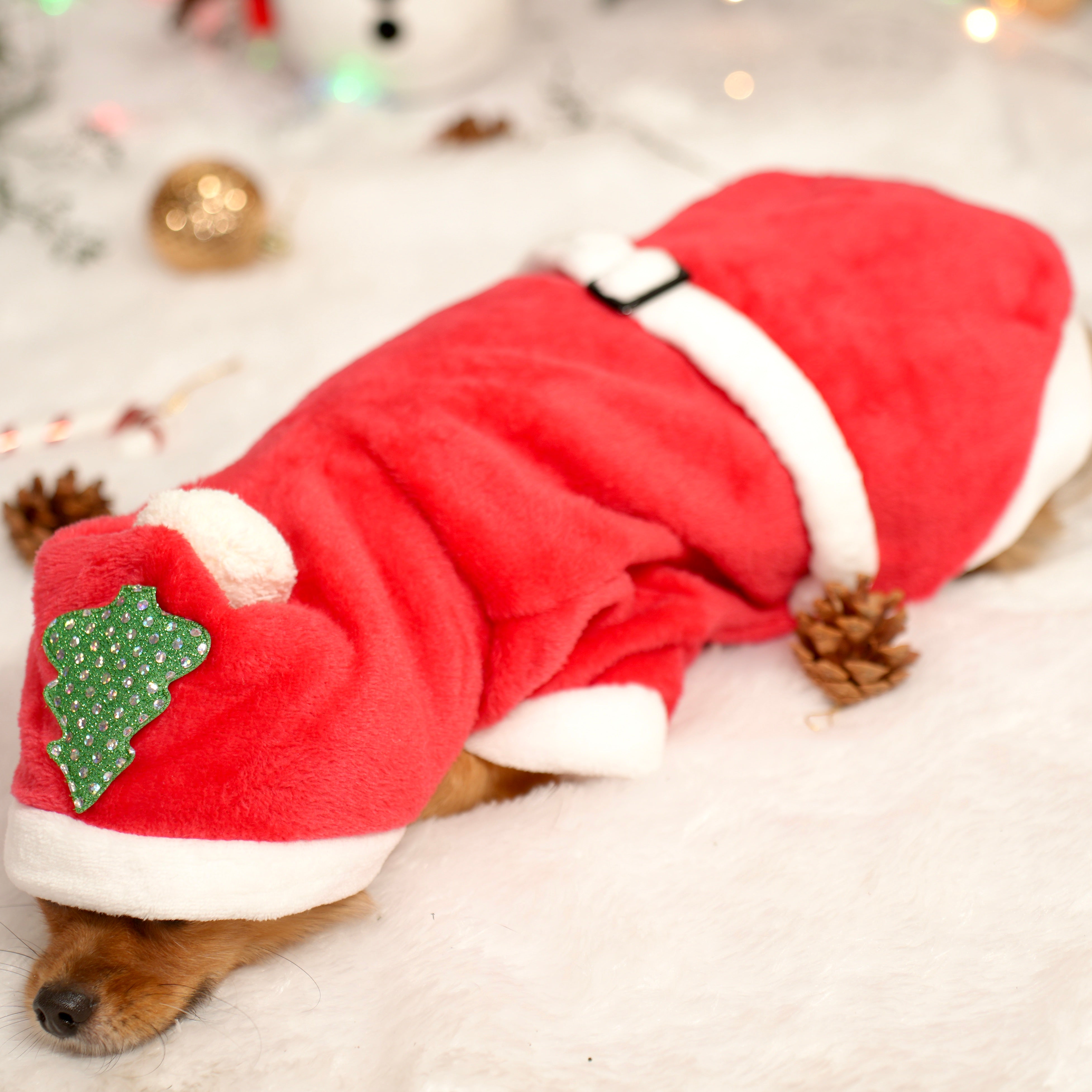 Santa Claus Fleece Hoodie