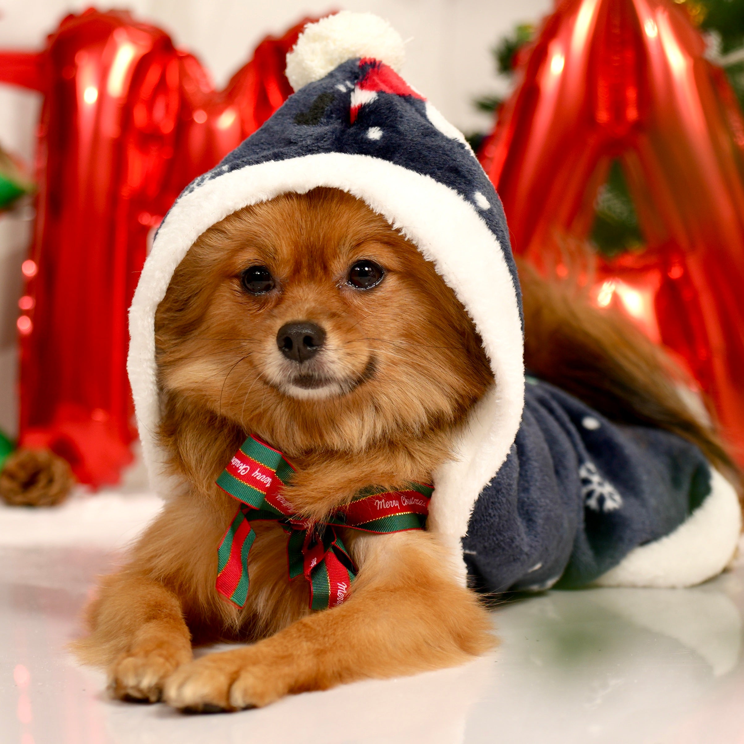 Santa Print Christmas Cloak