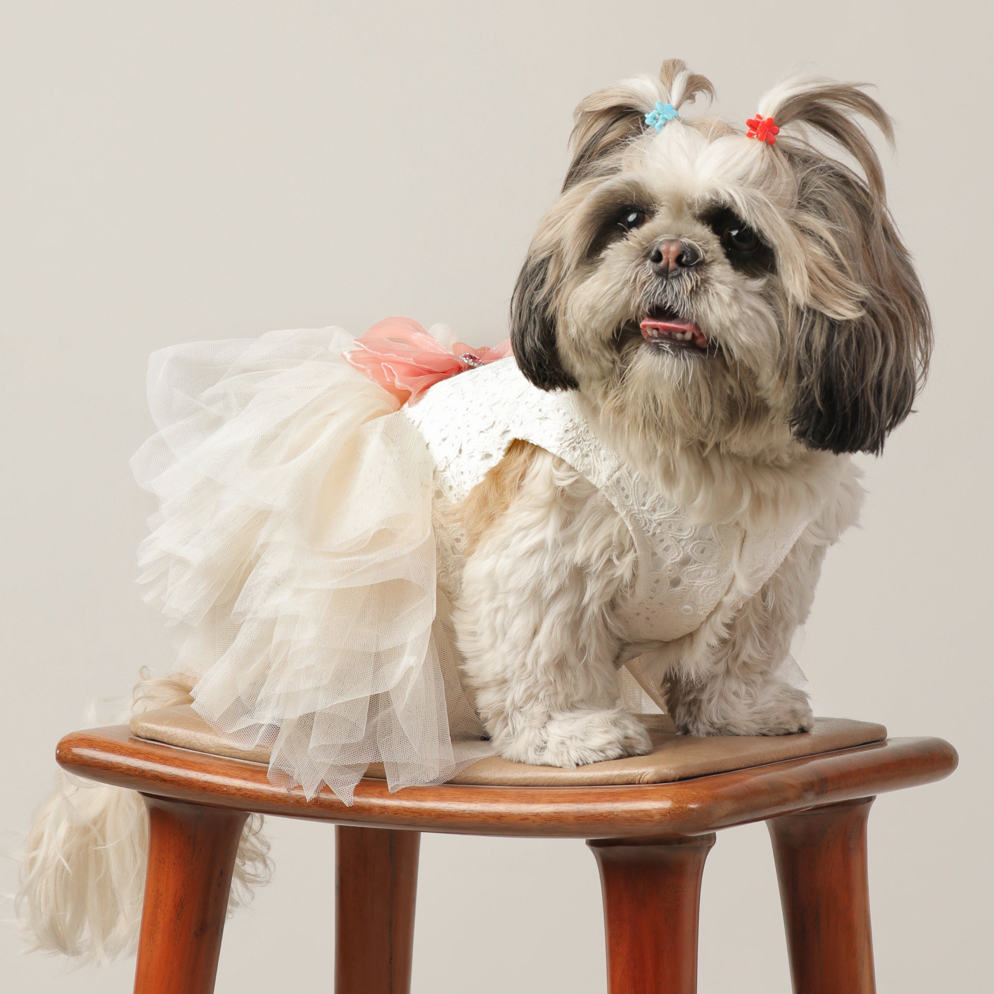 Lace & Tulle Pet Wedding Dress – Elegant Dog Clothes for Special Occasions