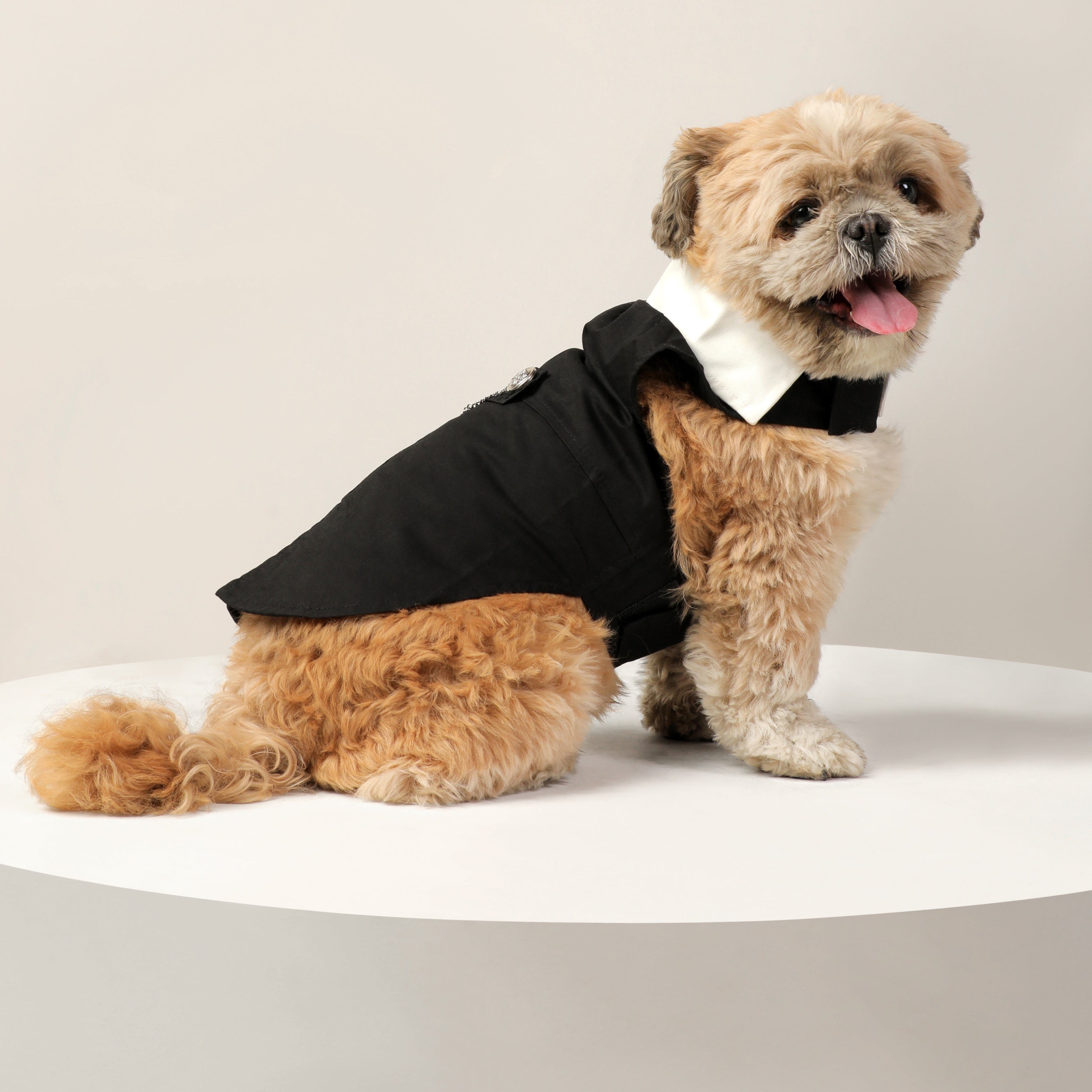 Dog Clothes| Pet Wedding Tuxedo | Sizes and Colours Available| Claws N Paws