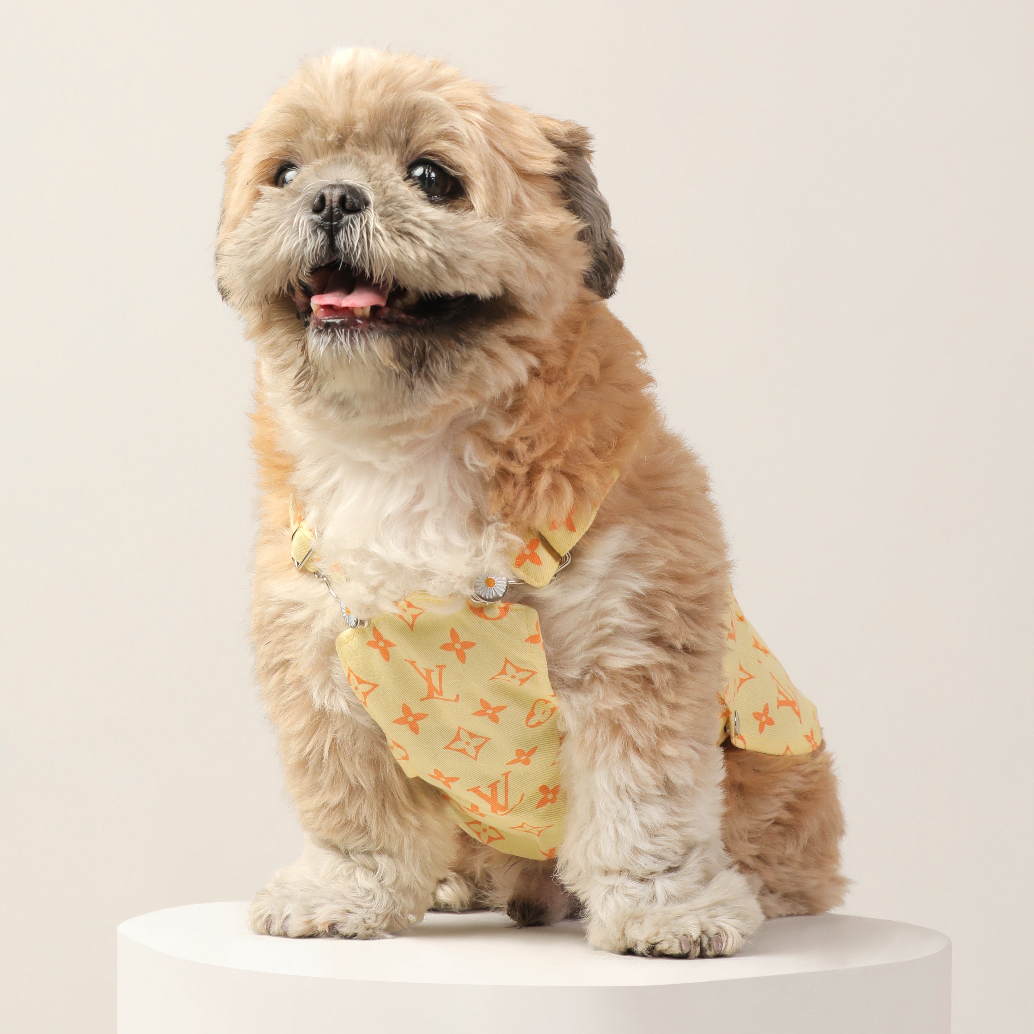 Dog Clothes| LV Denim Dungaree | Sizes and Colours Available| Claws N Paws