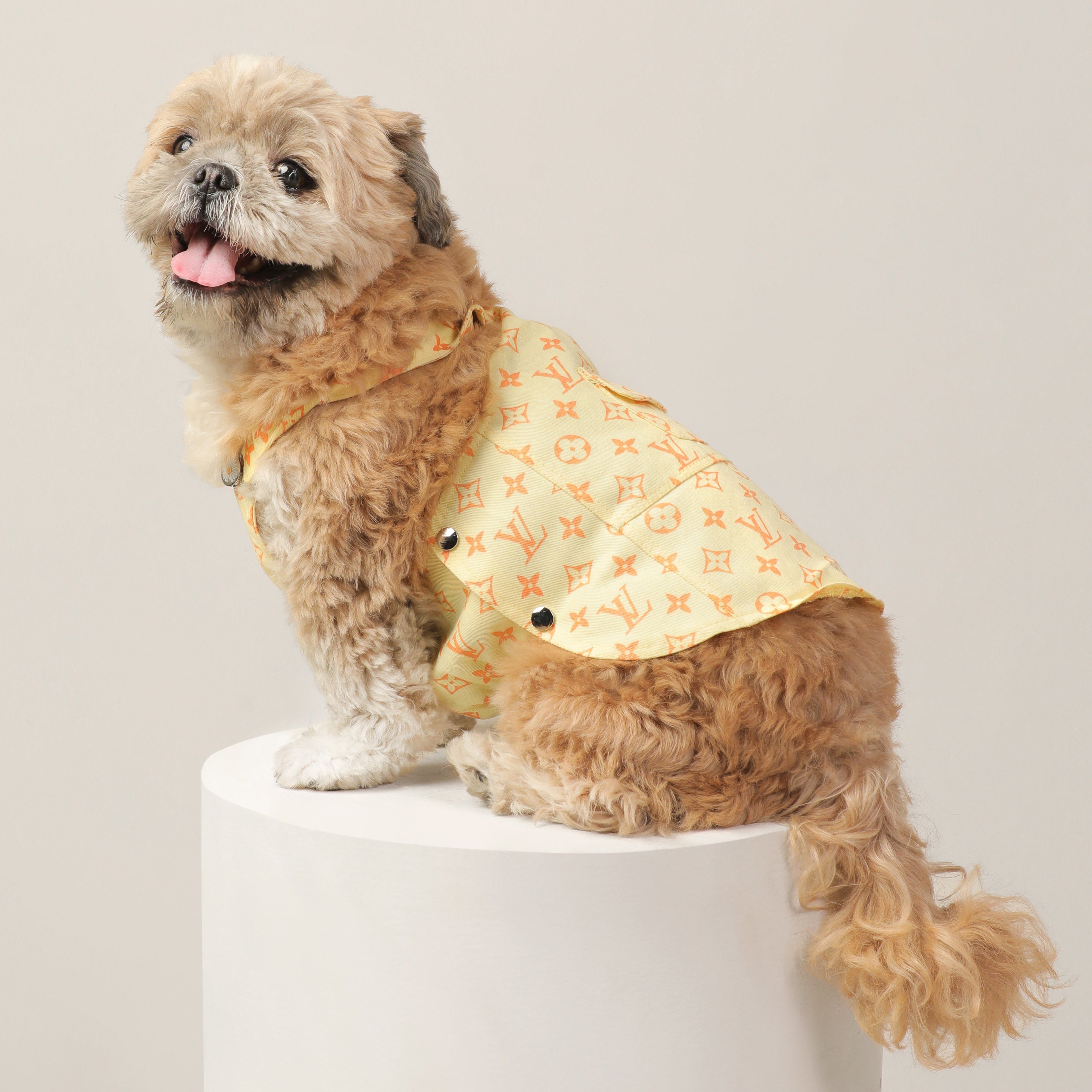 Dog Clothes| LV Denim Dungaree | Sizes and Colours Available| Claws N Paws