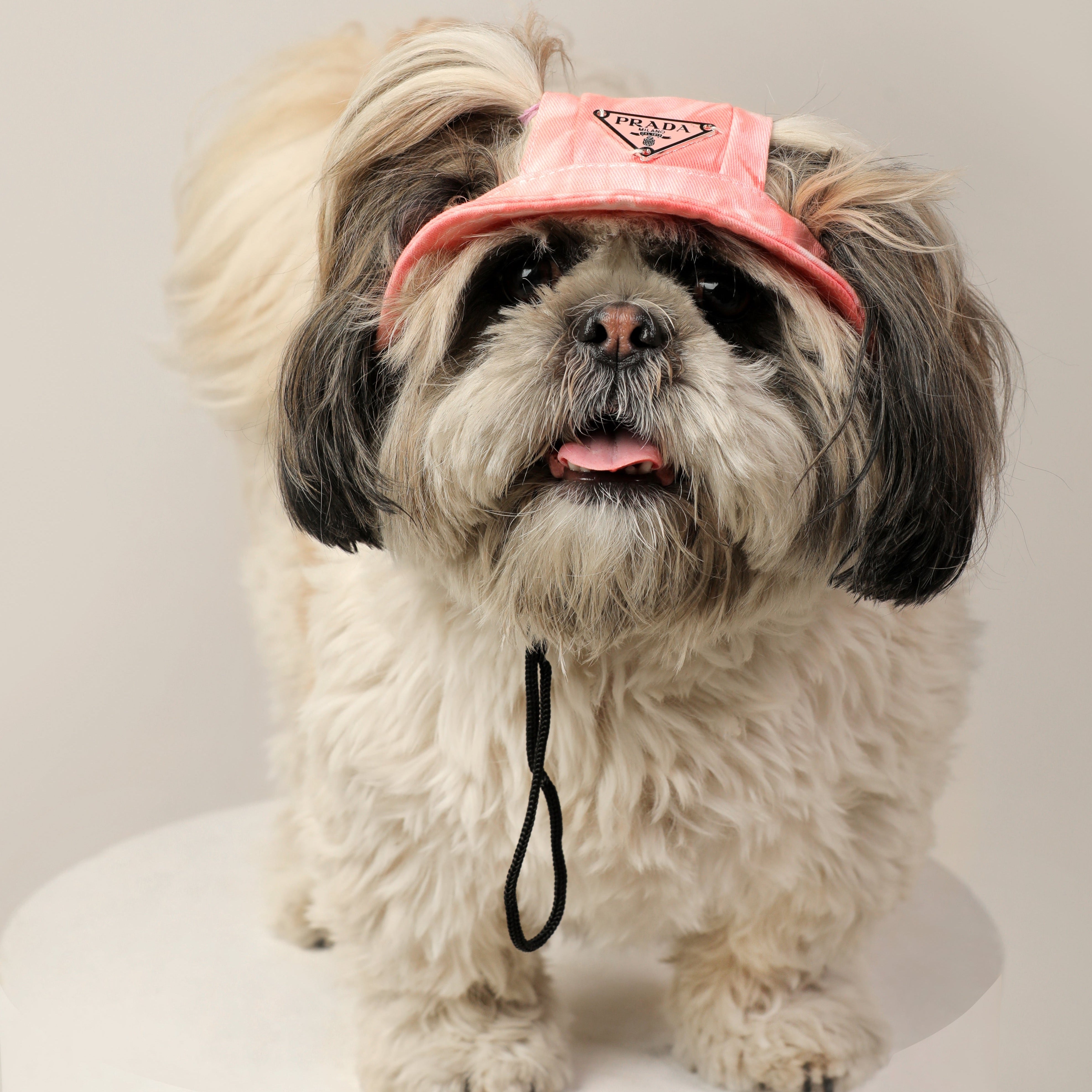 Tie & Dye Dog Bucket Hat