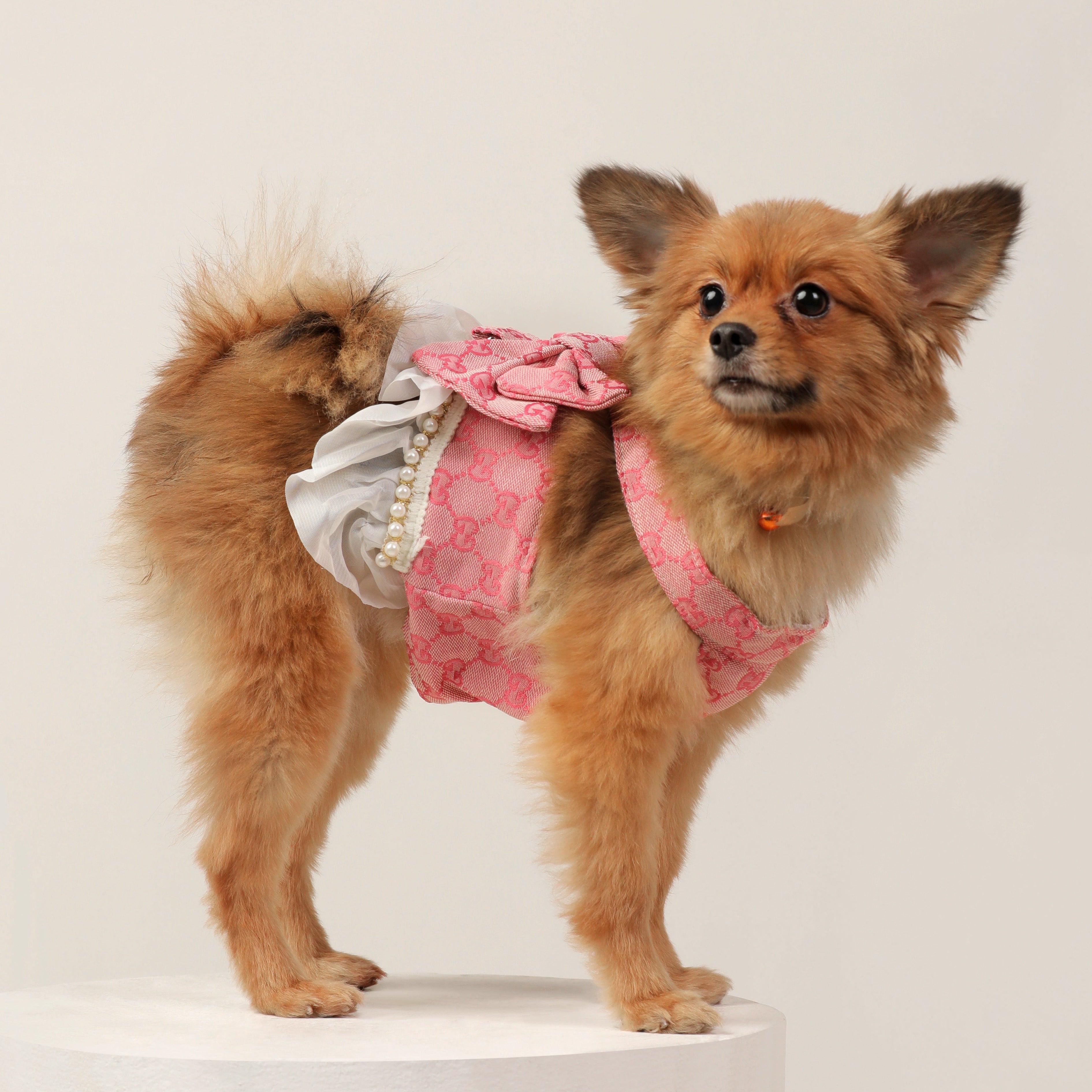 GG Print Premium Summer Harness Dress