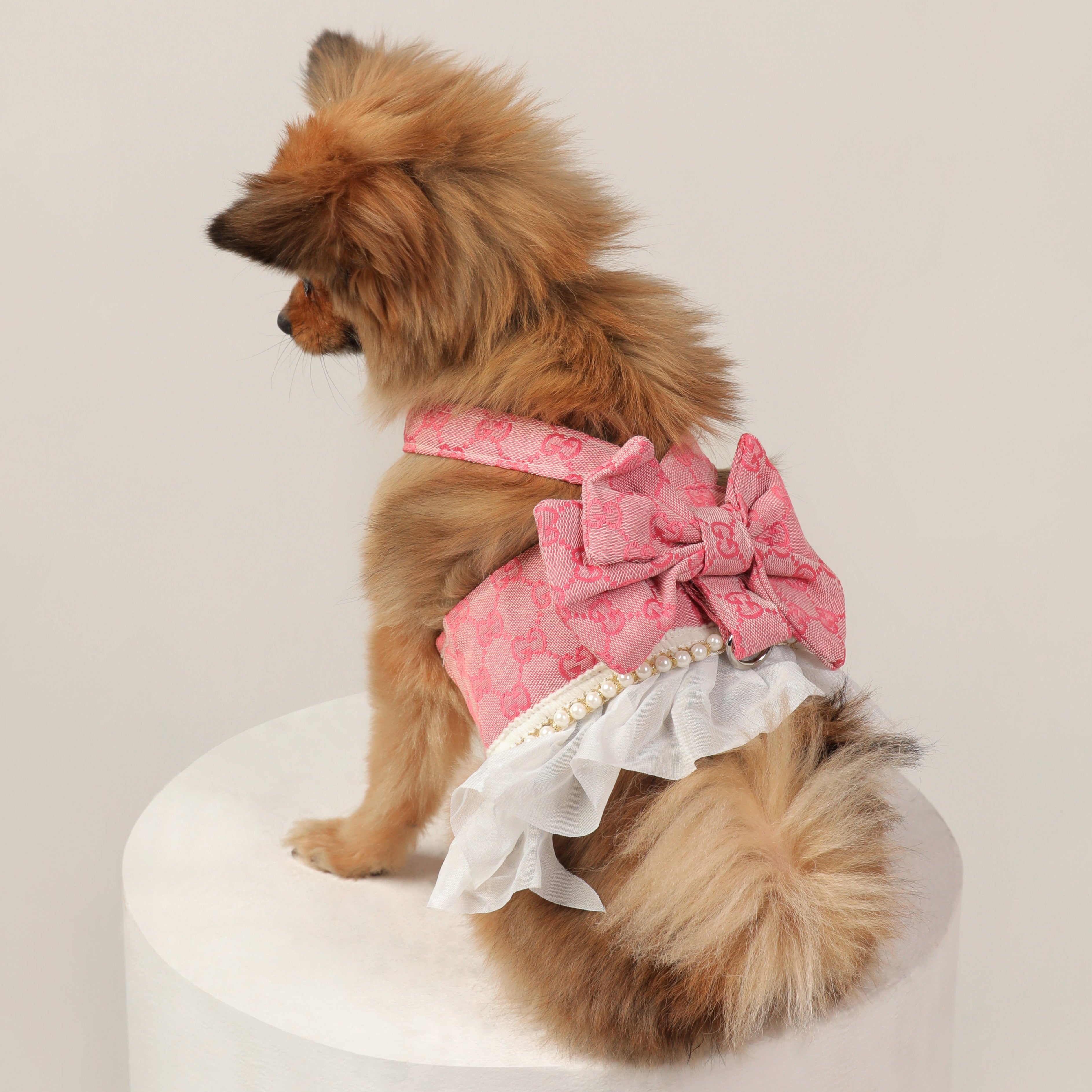 GG Print Premium Summer Harness Dress