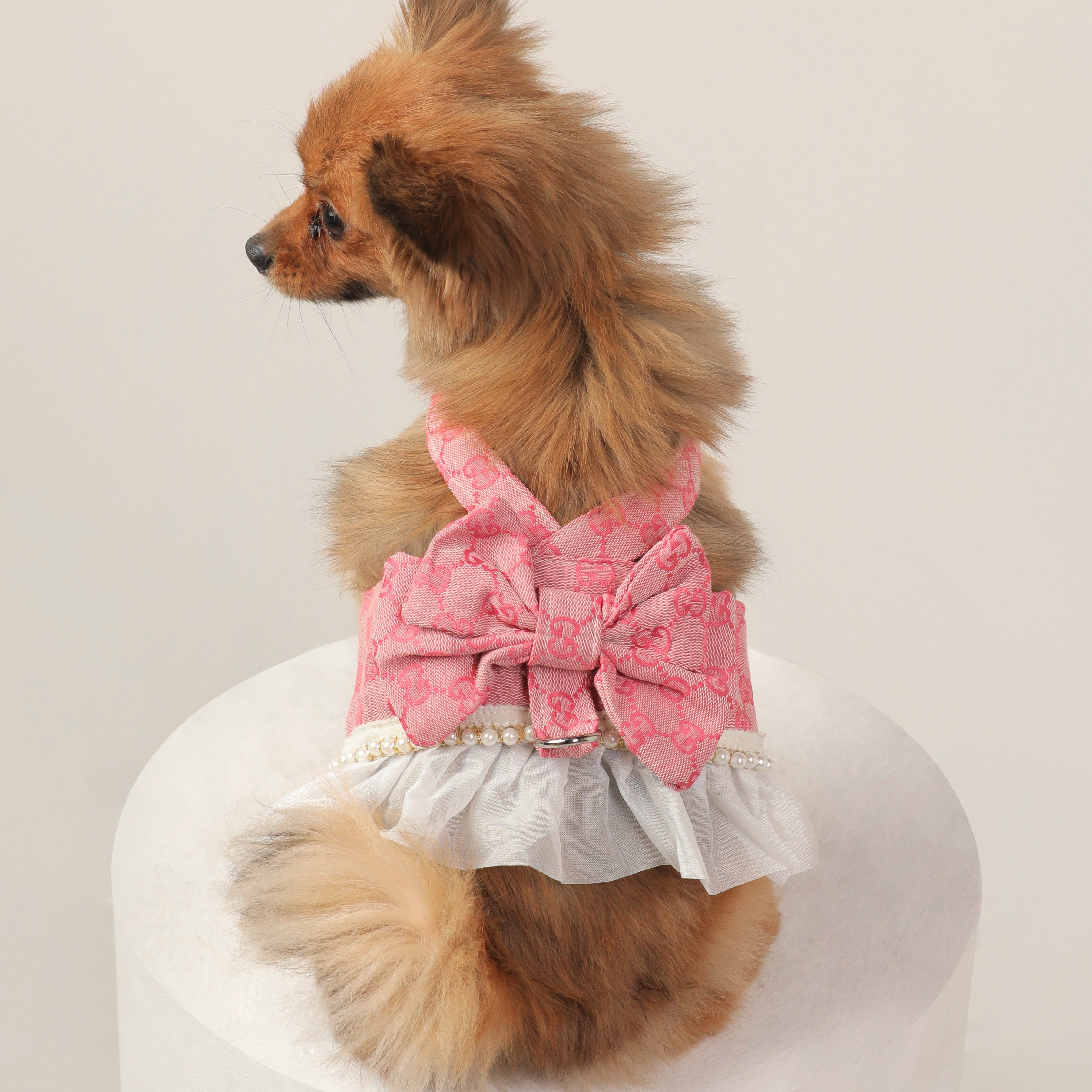 GG Print Premium Summer Harness Dress