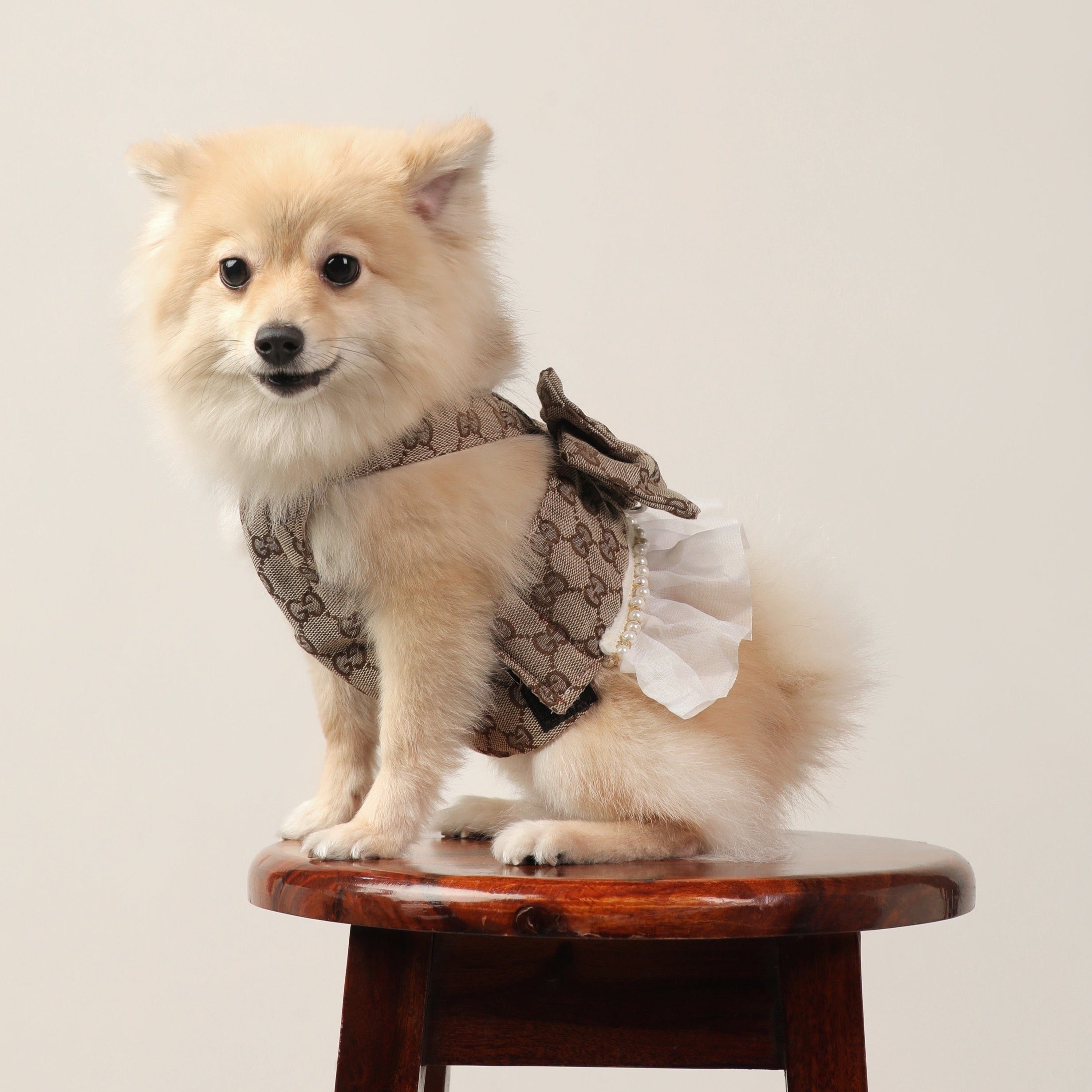 GG Print Premium Summer Harness Dress