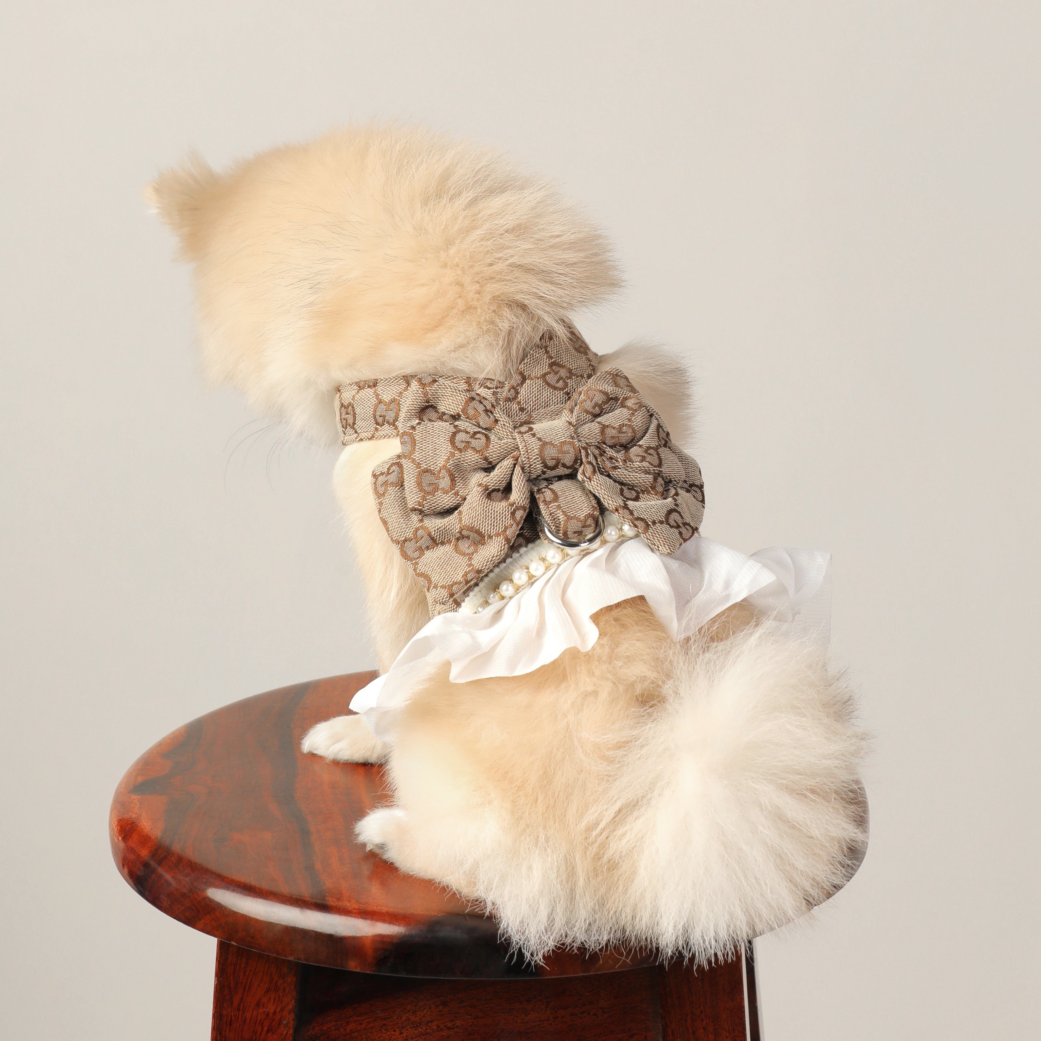 GG Print Premium Summer Harness Dress