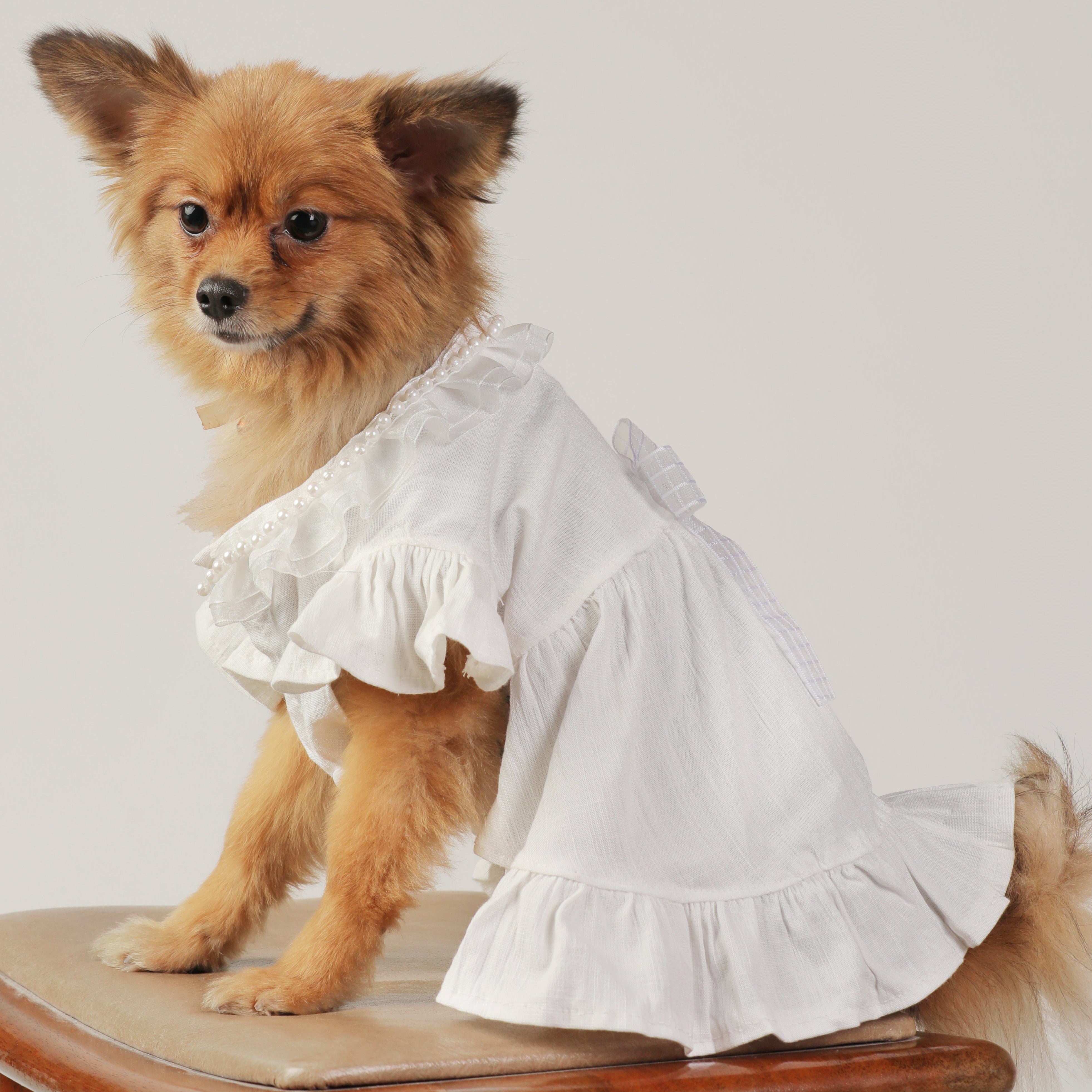 White Wedding Pet Dress – Luxury Bridal-Inspired Dog Outfit