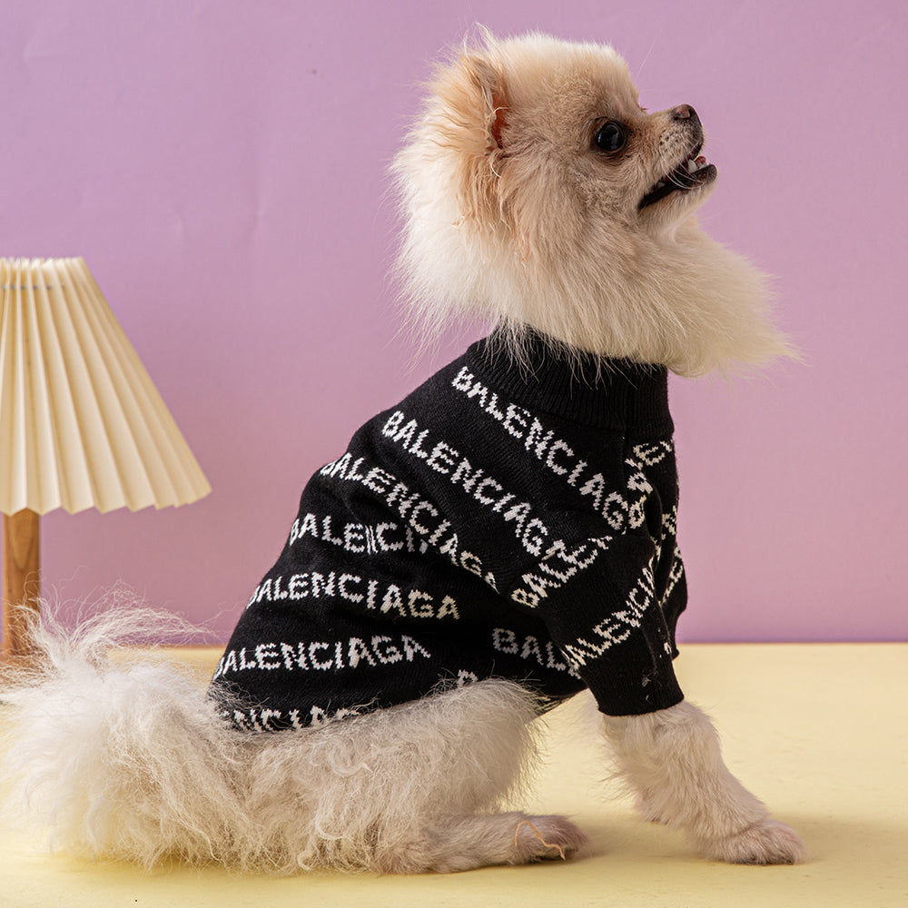 Premium Balenciaga Printed Sweater