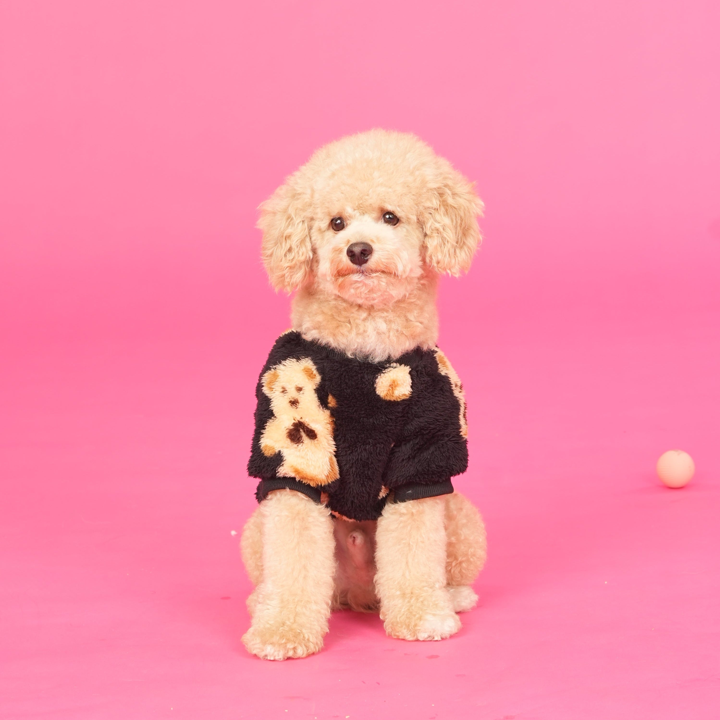 Teddy Print Sweatshirt