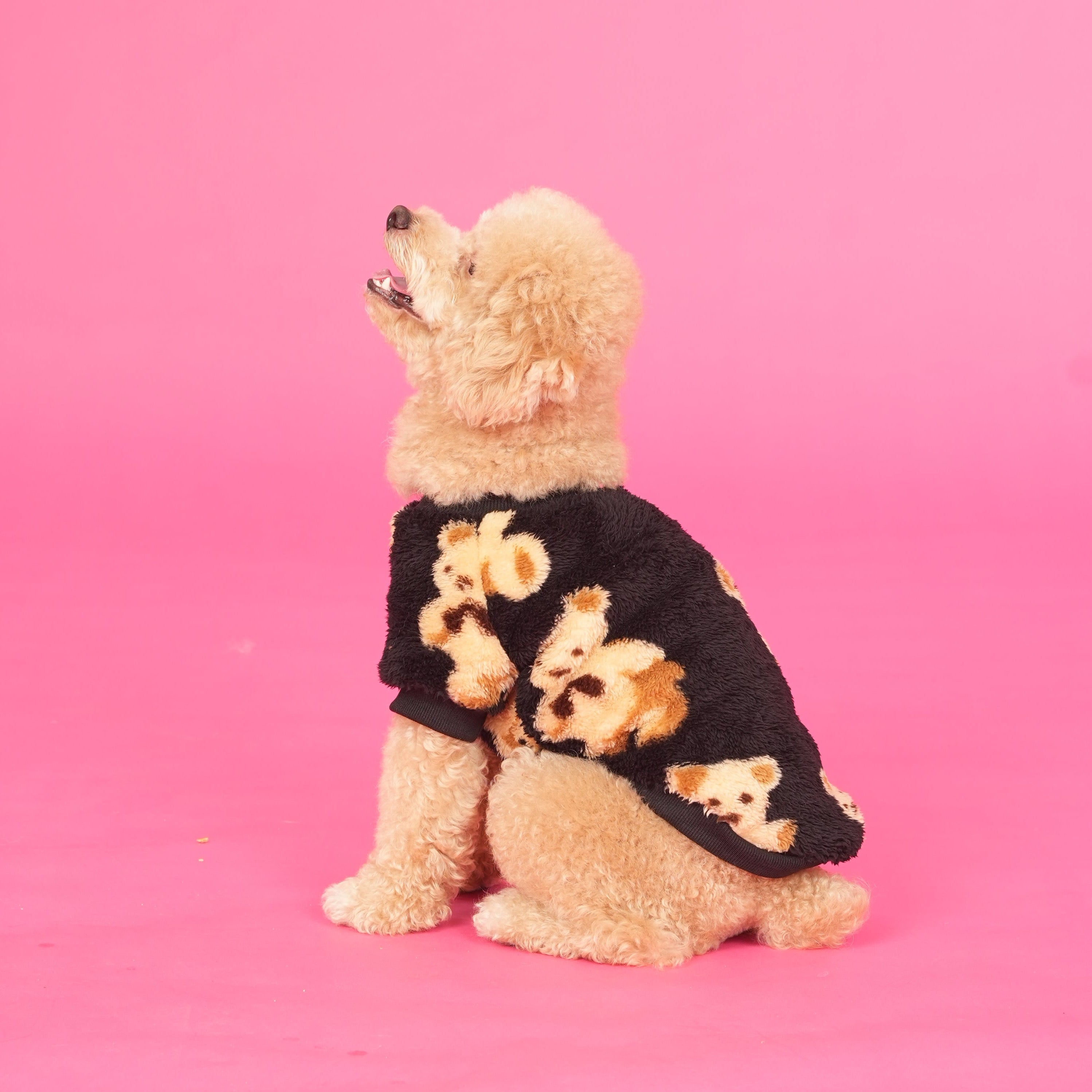 Teddy Print Sweatshirt