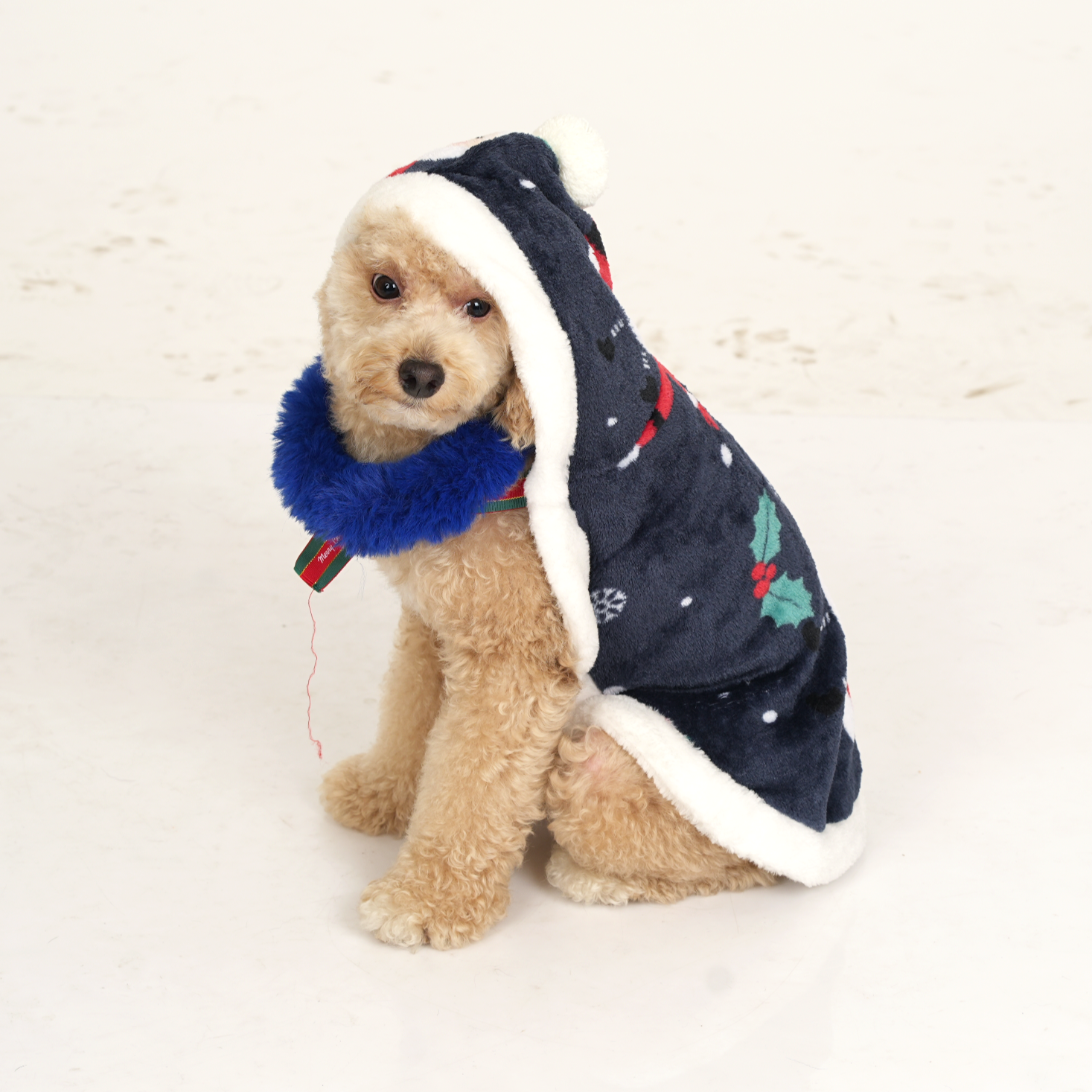 Santa Print Christmas Cloak